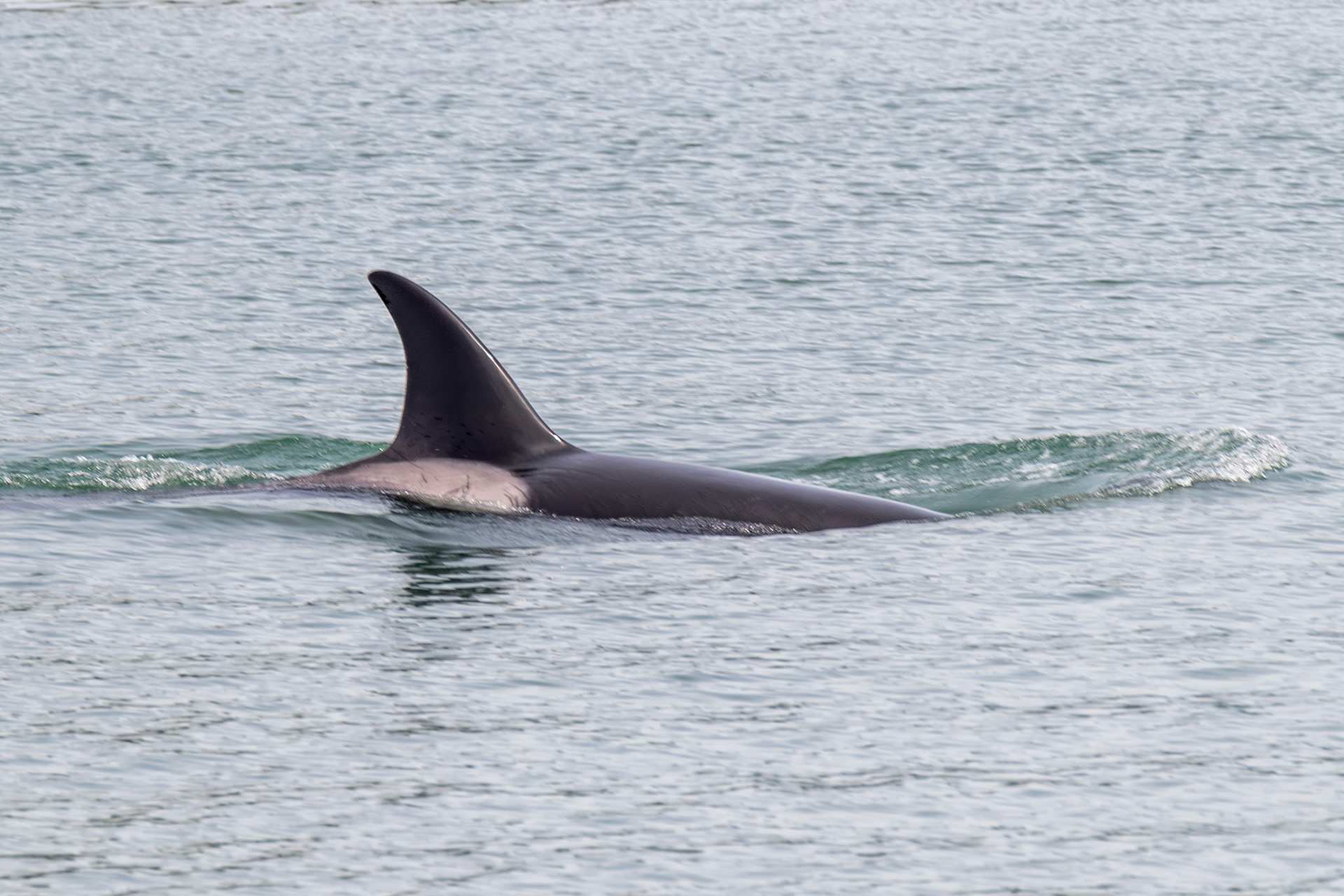 Alaska vacation in July, 2023 (Photo by Keith Sliney).