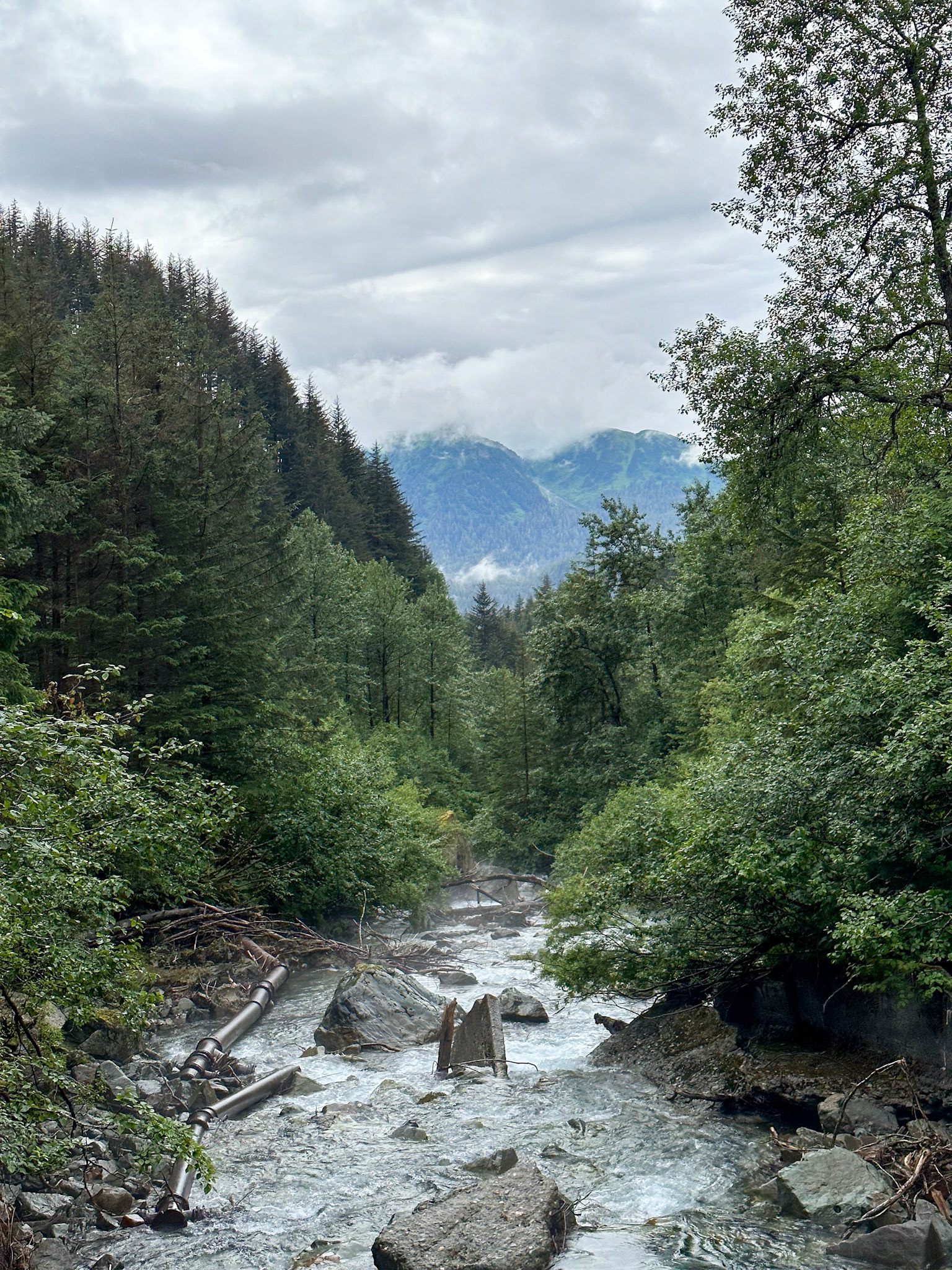 Alaska vacation in July, 2023 (Photo by Keith Sliney).