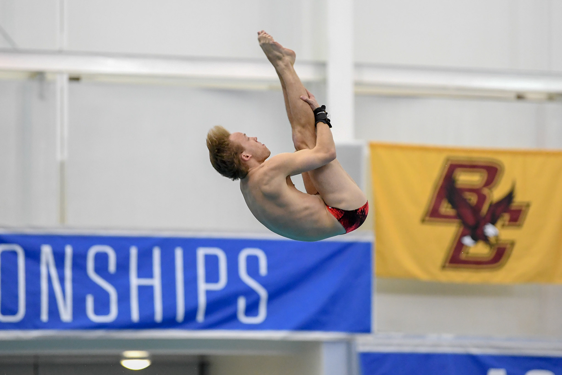 GREENSBORO, NC - FEBRUARY 21, 2019: University of Louisville Dive Team compete in 3-meter Finals at the ACC Swimming &amp; Diving Championship in Greensboro, North Carolina (Photo by Keith Sliney).