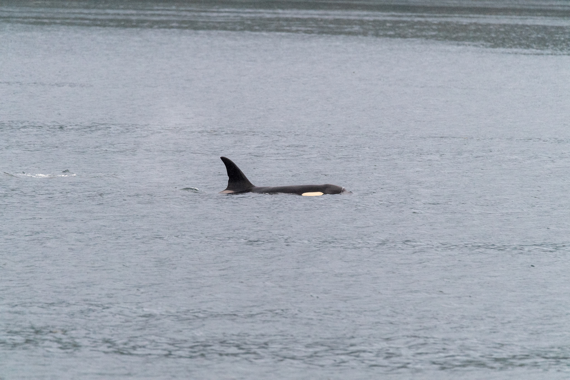 Alaska vacation in July, 2023 (Photo by Keith Sliney).