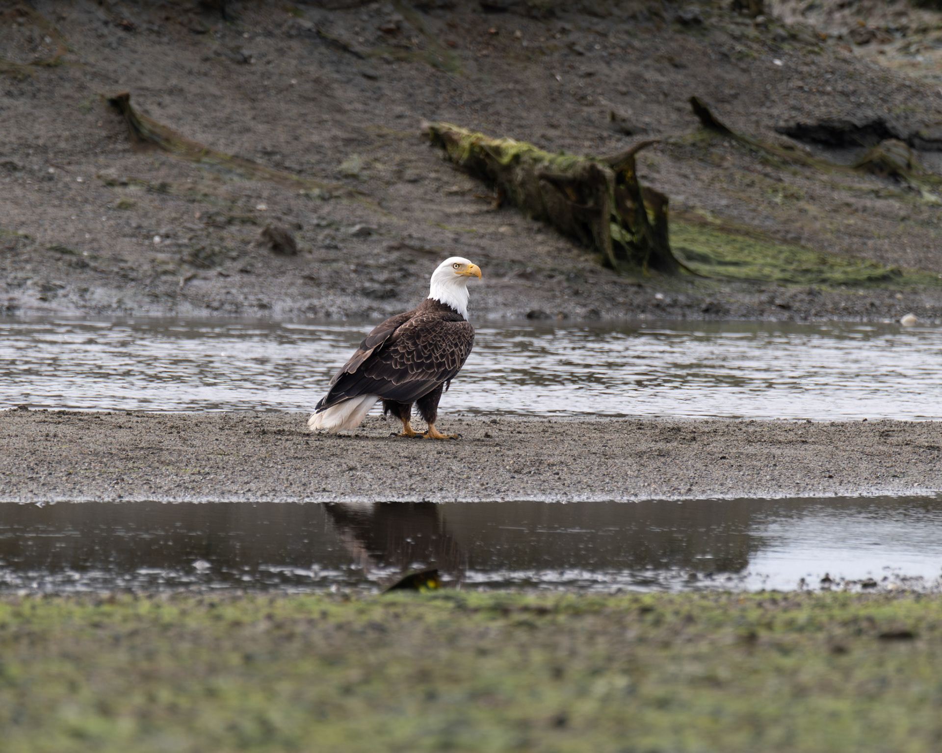 Alaska vacation in July, 2023 (Photo by Keith Sliney).