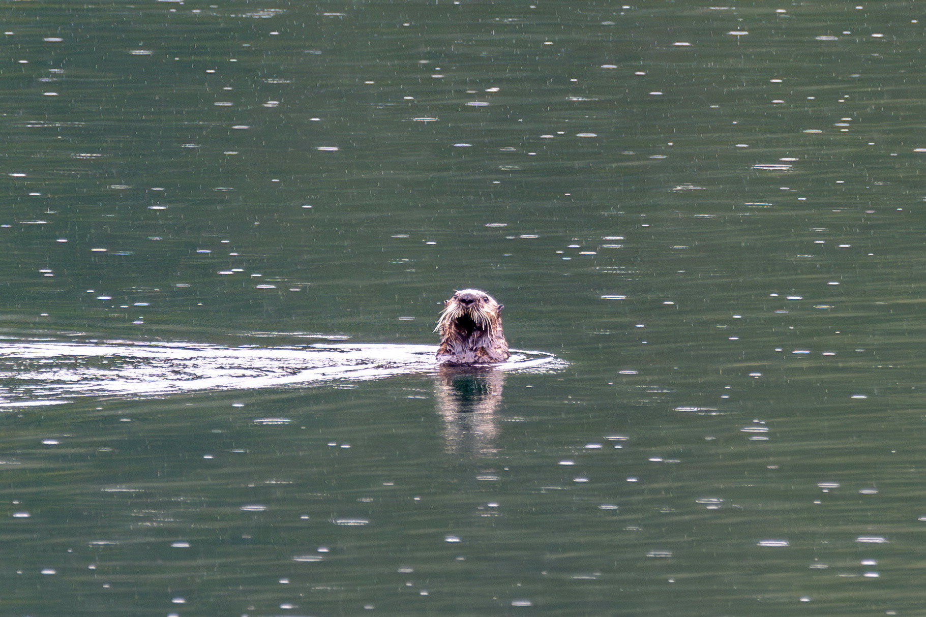 Alaska vacation in July, 2023 (Photo by Keith Sliney).