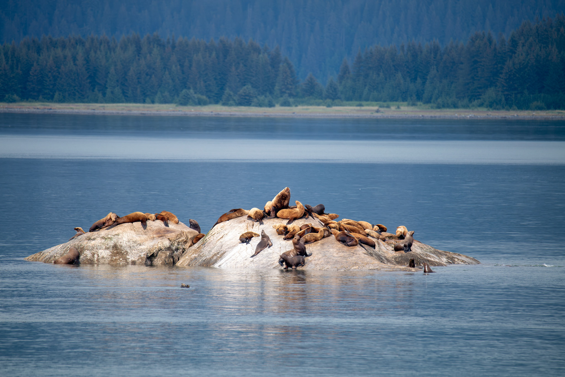 Alaska vacation in July, 2023 (Photo by Keith Sliney).