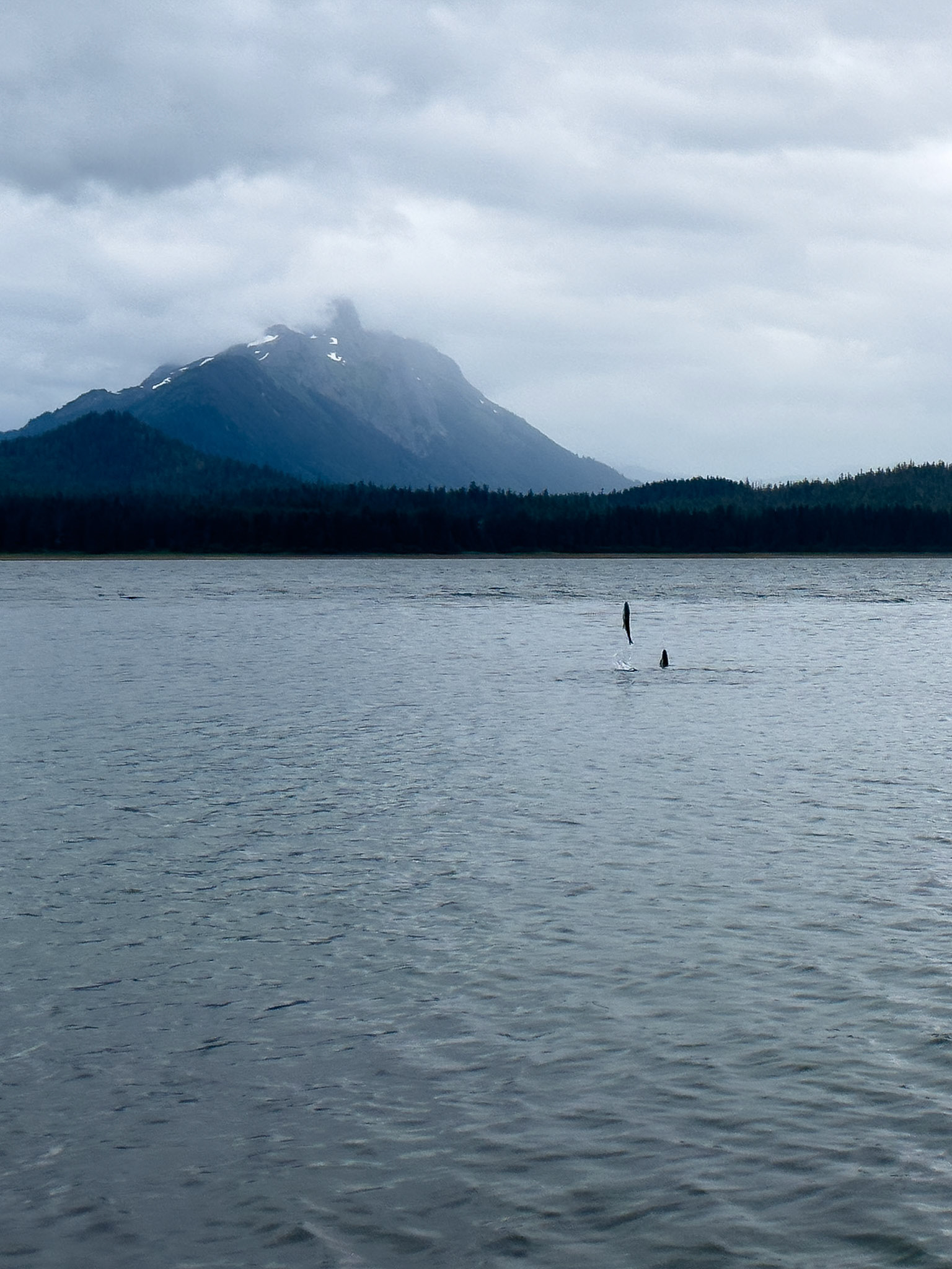 Alaska vacation in July, 2023 (Photo by Keith Sliney).