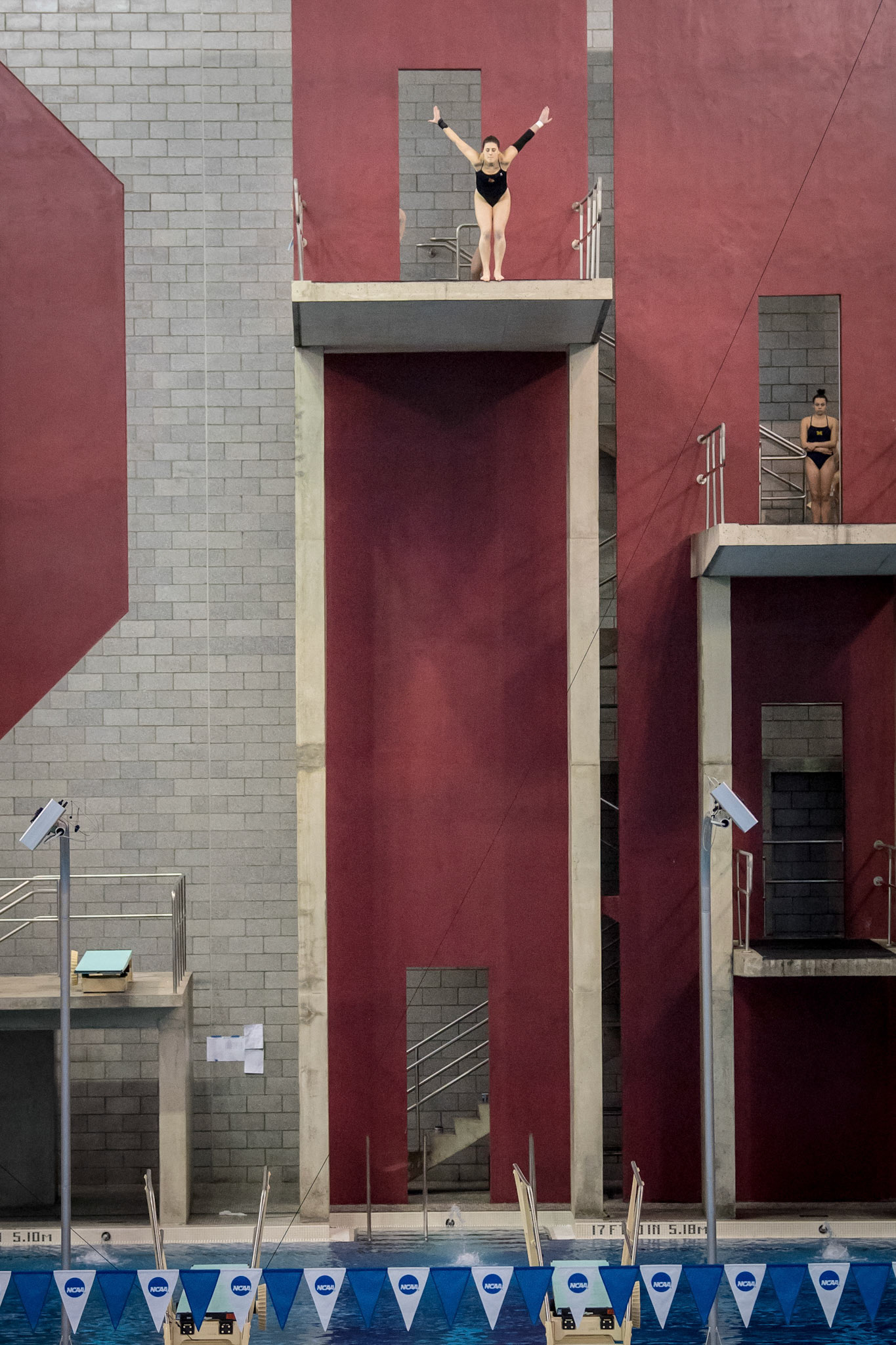 COLUMBUS, OH - MARCH 10, 2018. University of L:ouisville Divers at NCAA Diving Zone C at Ohio State University. Photo by Keith Sliney.