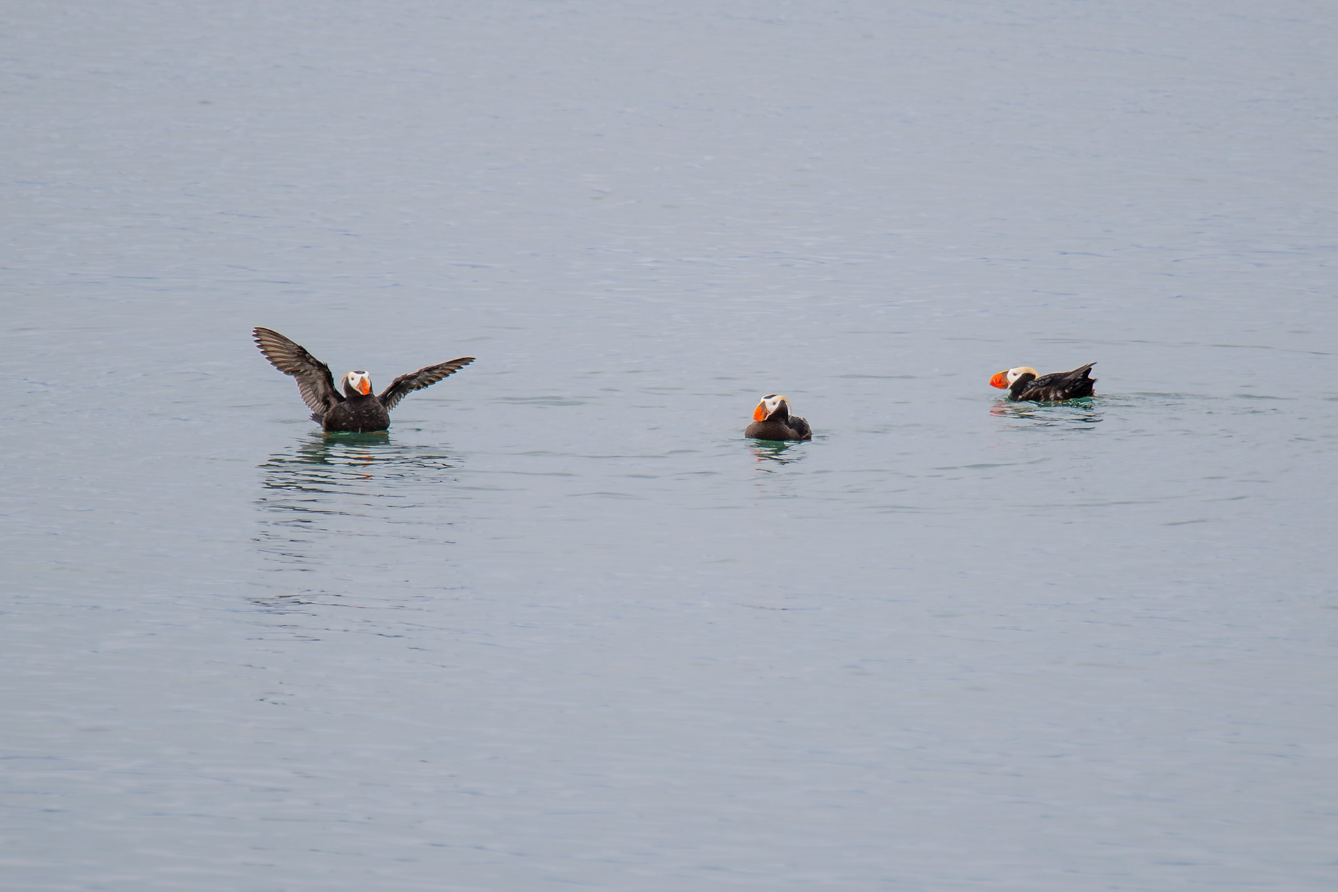 Alaska vacation in July, 2023 (Photo by Keith Sliney).