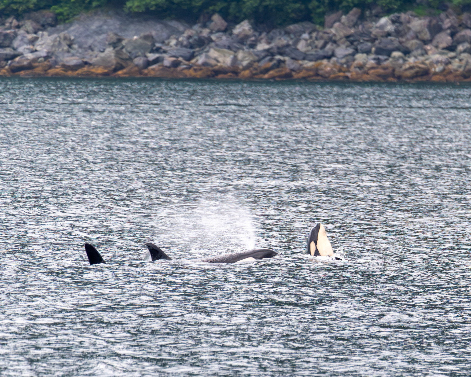 Alaska vacation in July, 2023 (Photo by Keith Sliney).