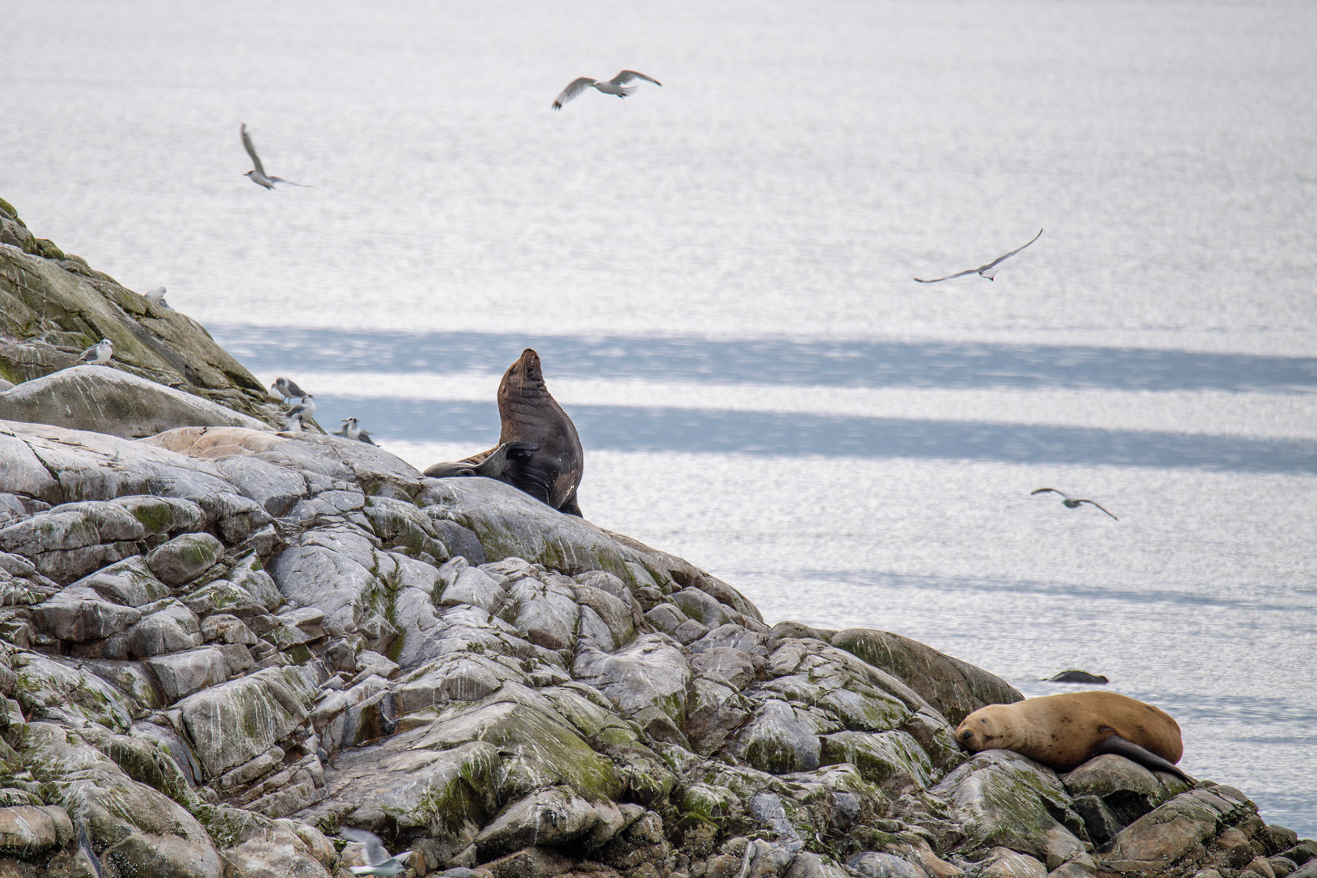 Alaska vacation in July, 2023 (Photo by Keith Sliney).