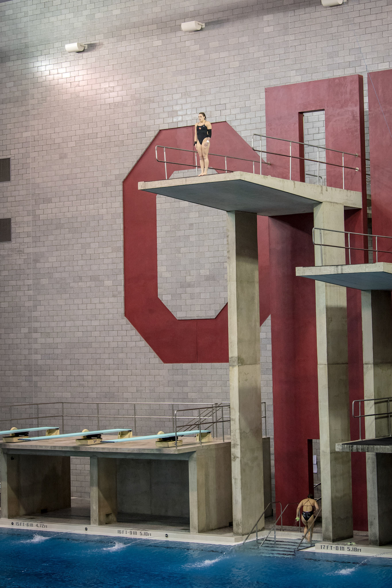 COLUMBUS, OH - MARCH 10, 2018. University of L:ouisville Divers at NCAA Diving Zone C at Ohio State University. Photo by Keith Sliney.