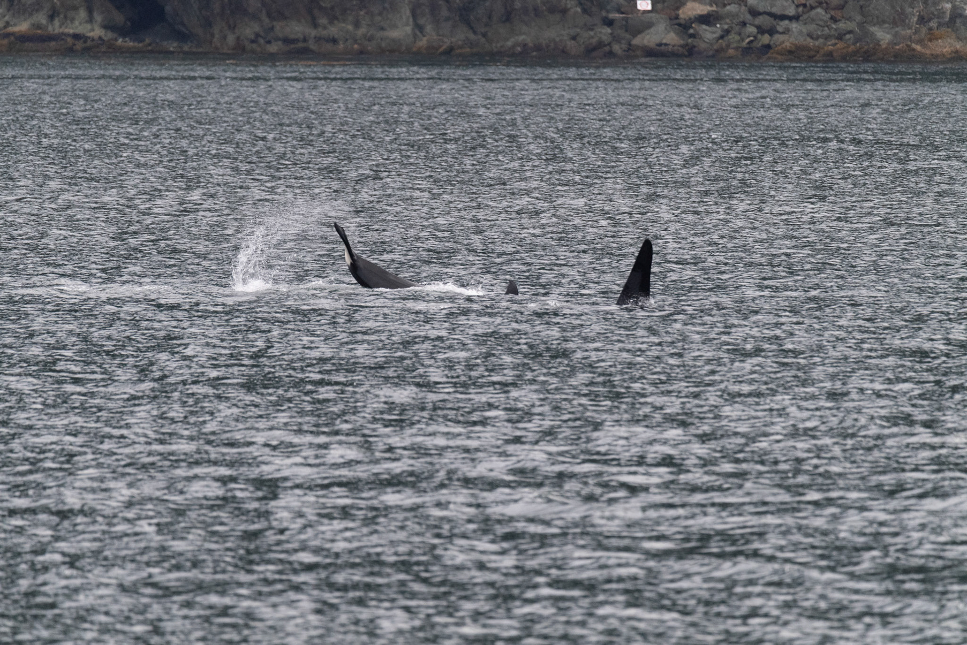 Alaska vacation in July, 2023 (Photo by Keith Sliney).