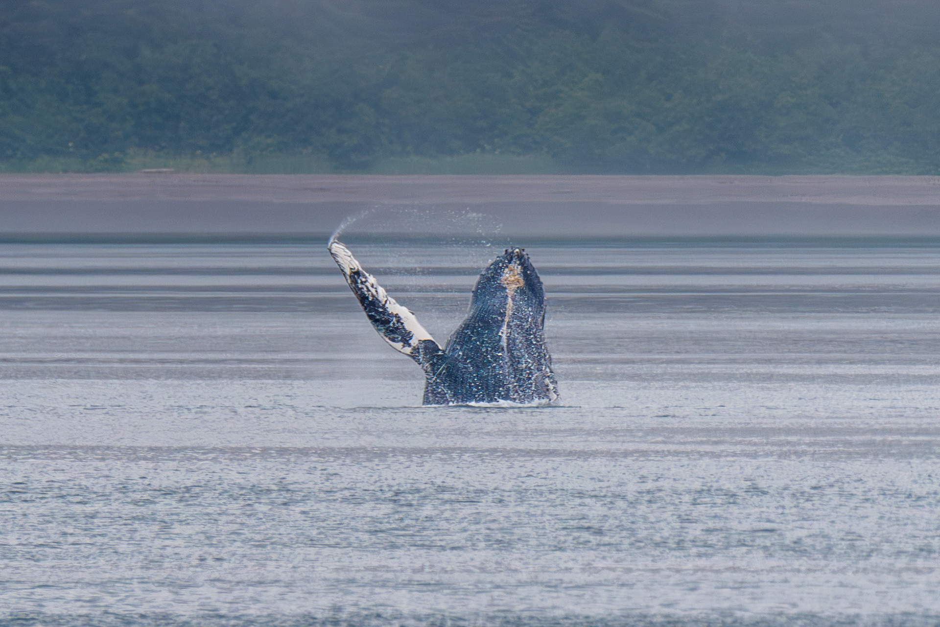 Alaska vacation in July, 2023 (Photo by Keith Sliney).