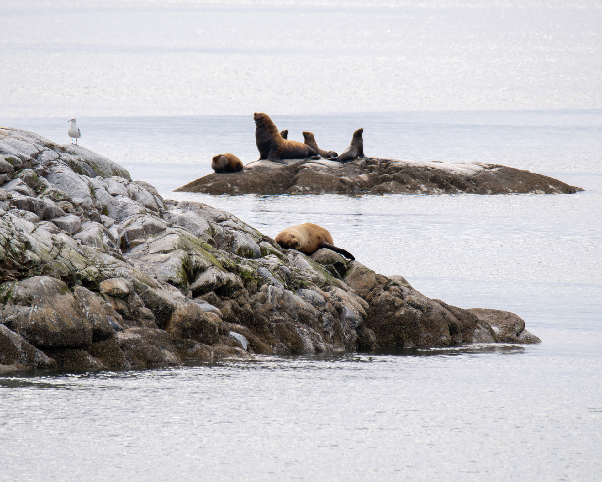 Alaska vacation in July, 2023 (Photo by Keith Sliney).