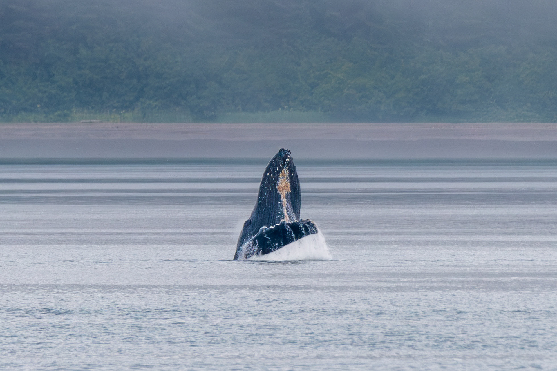 Alaska vacation in July, 2023 (Photo by Keith Sliney).
