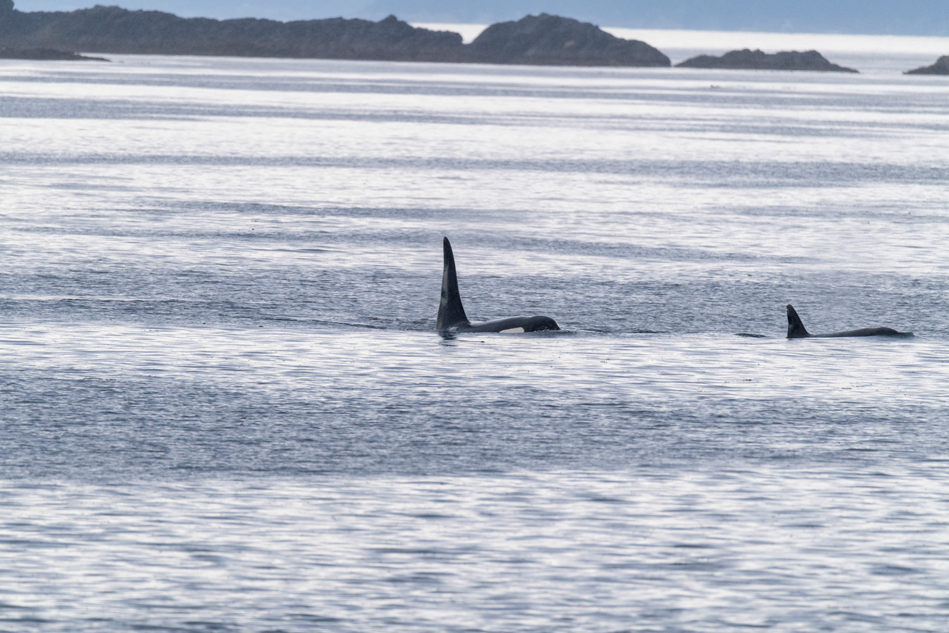 Alaska vacation in July, 2023 (Photo by Keith Sliney).