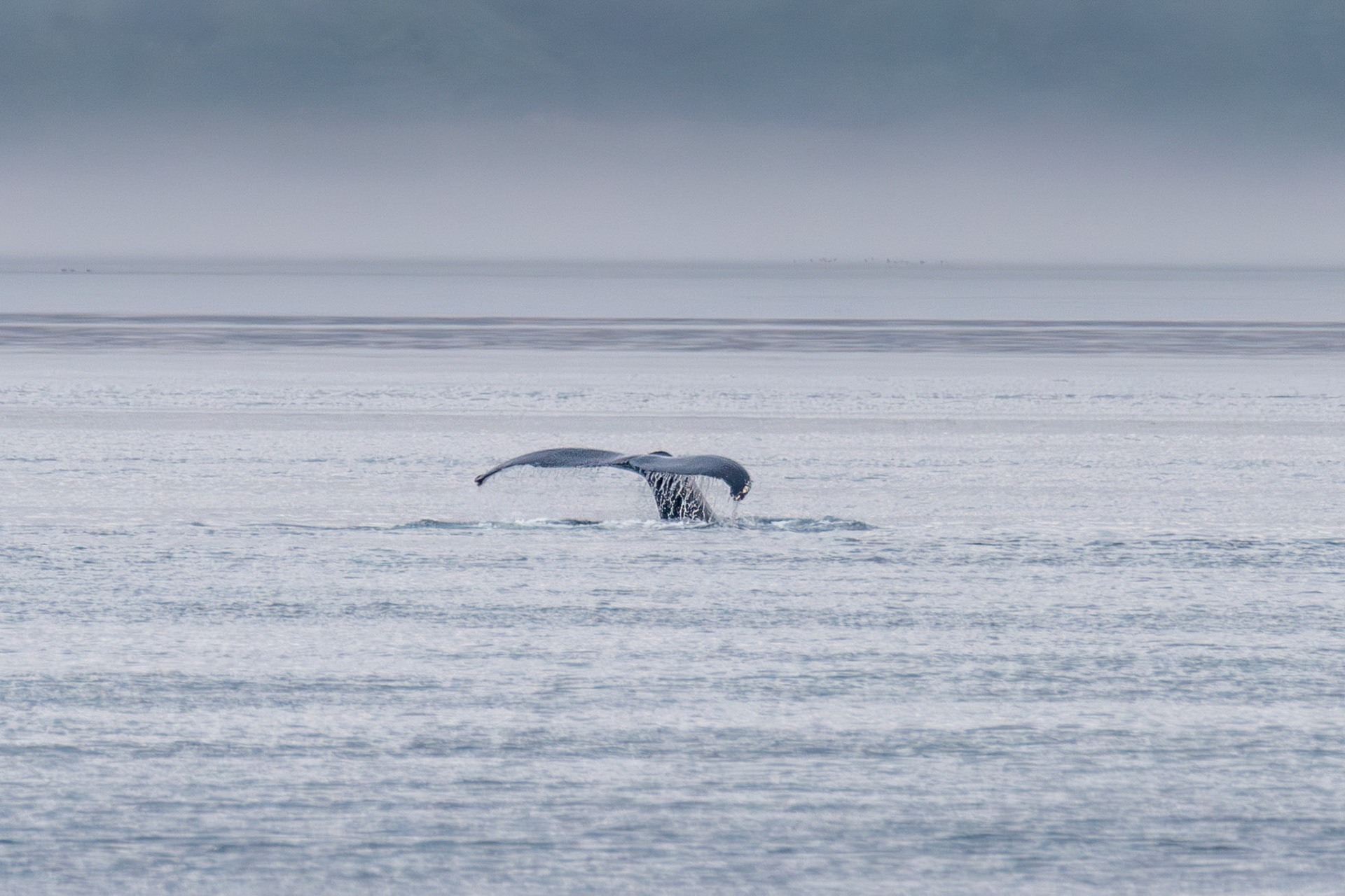 Alaska vacation in July, 2023 (Photo by Keith Sliney).
