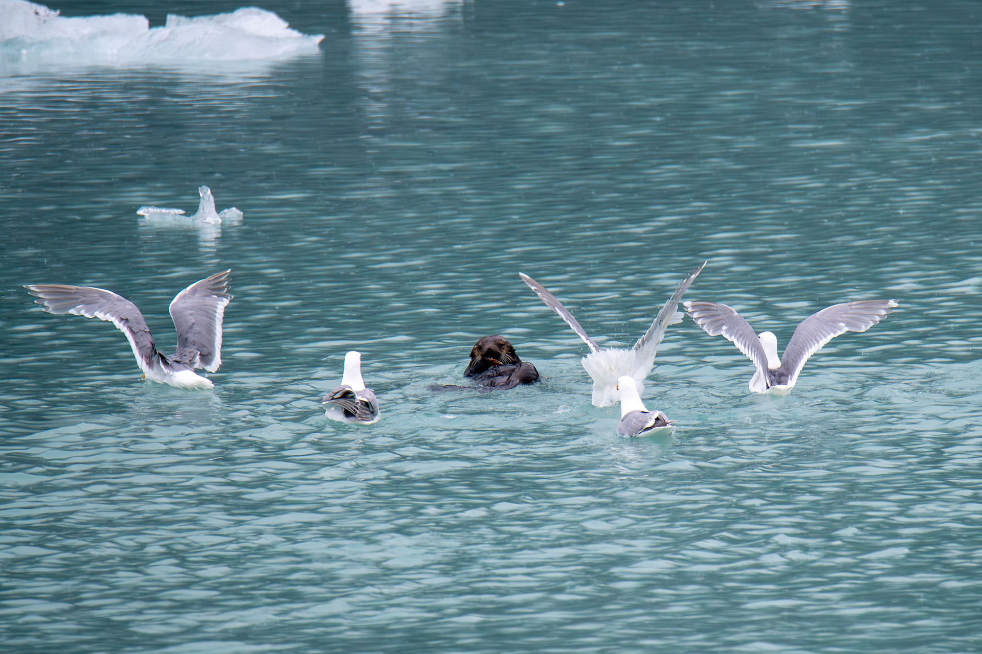 Alaska vacation in July, 2023 (Photo by Keith Sliney).
