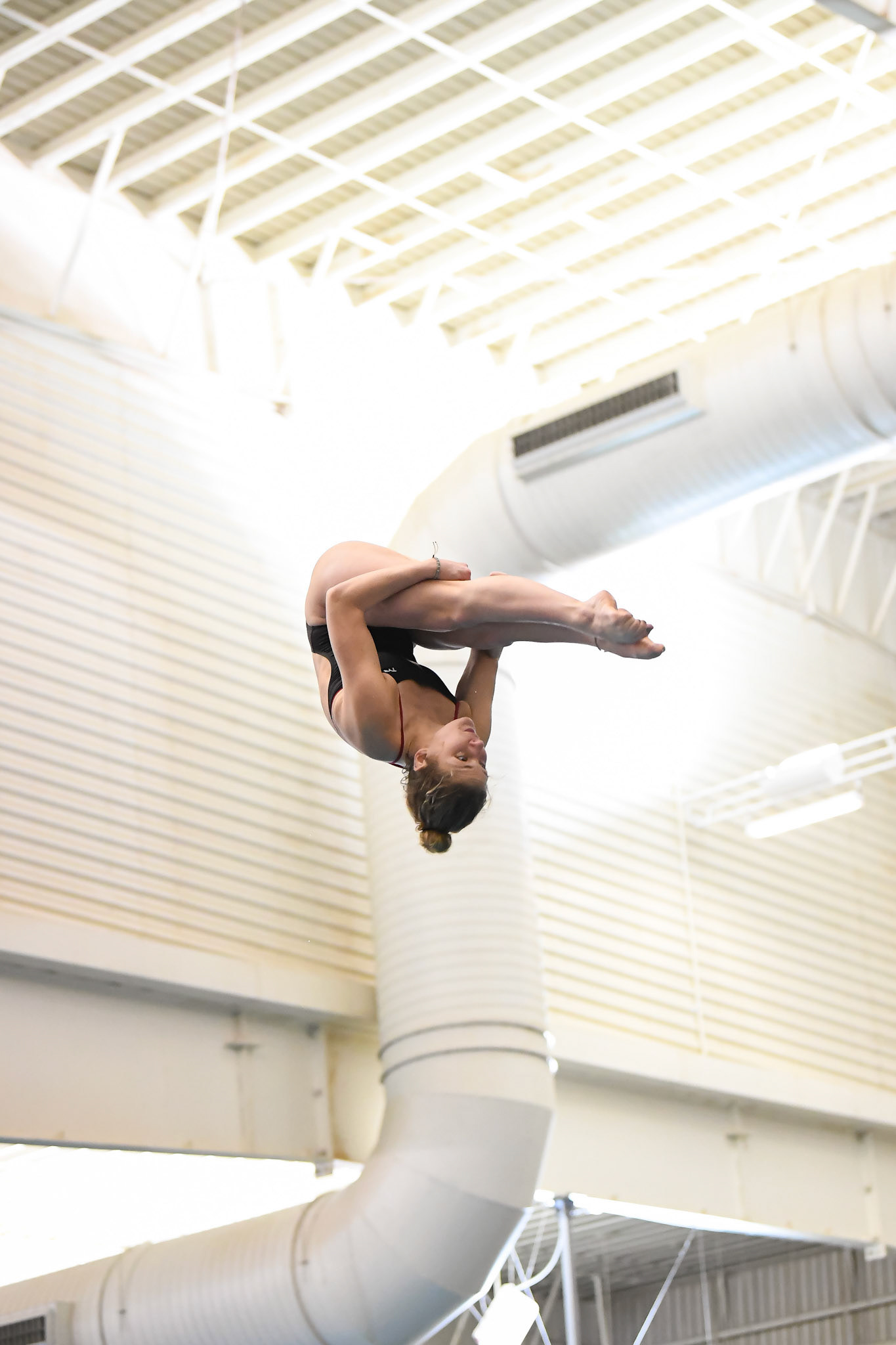LOUISVILLE, KY - JANUARY 31, 2020: University of Louisville Swim &amp; Dive vs Indiana on Senior Day (Photo by Keith Sliney).