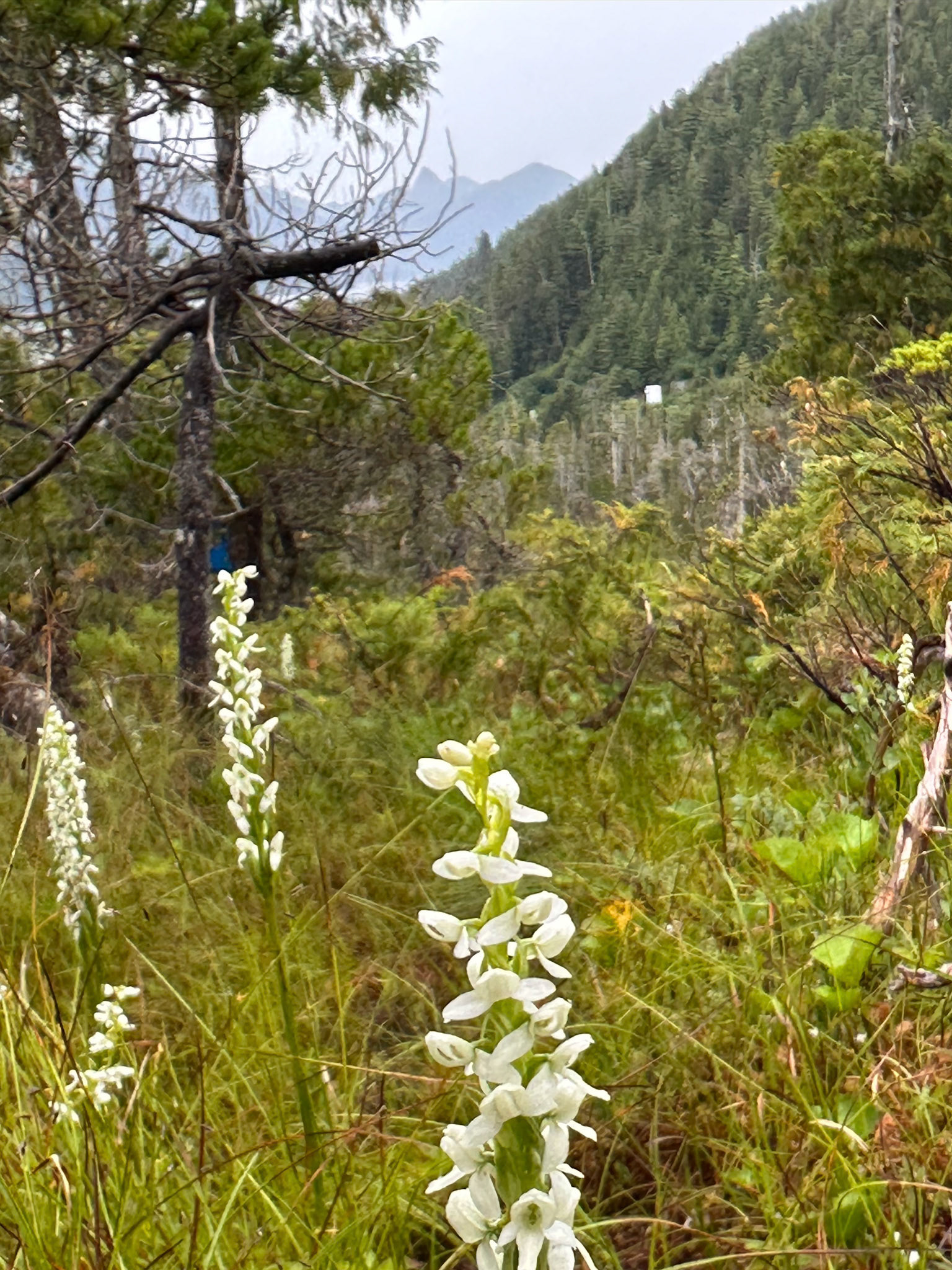 Alaska vacation in July, 2023 (Photo by Keith Sliney).