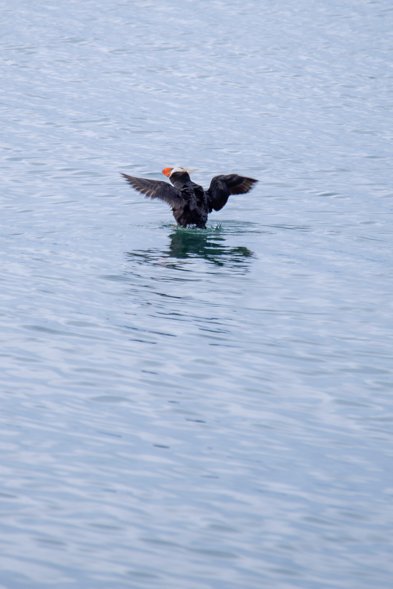 Alaska vacation in July, 2023 (Photo by Keith Sliney).