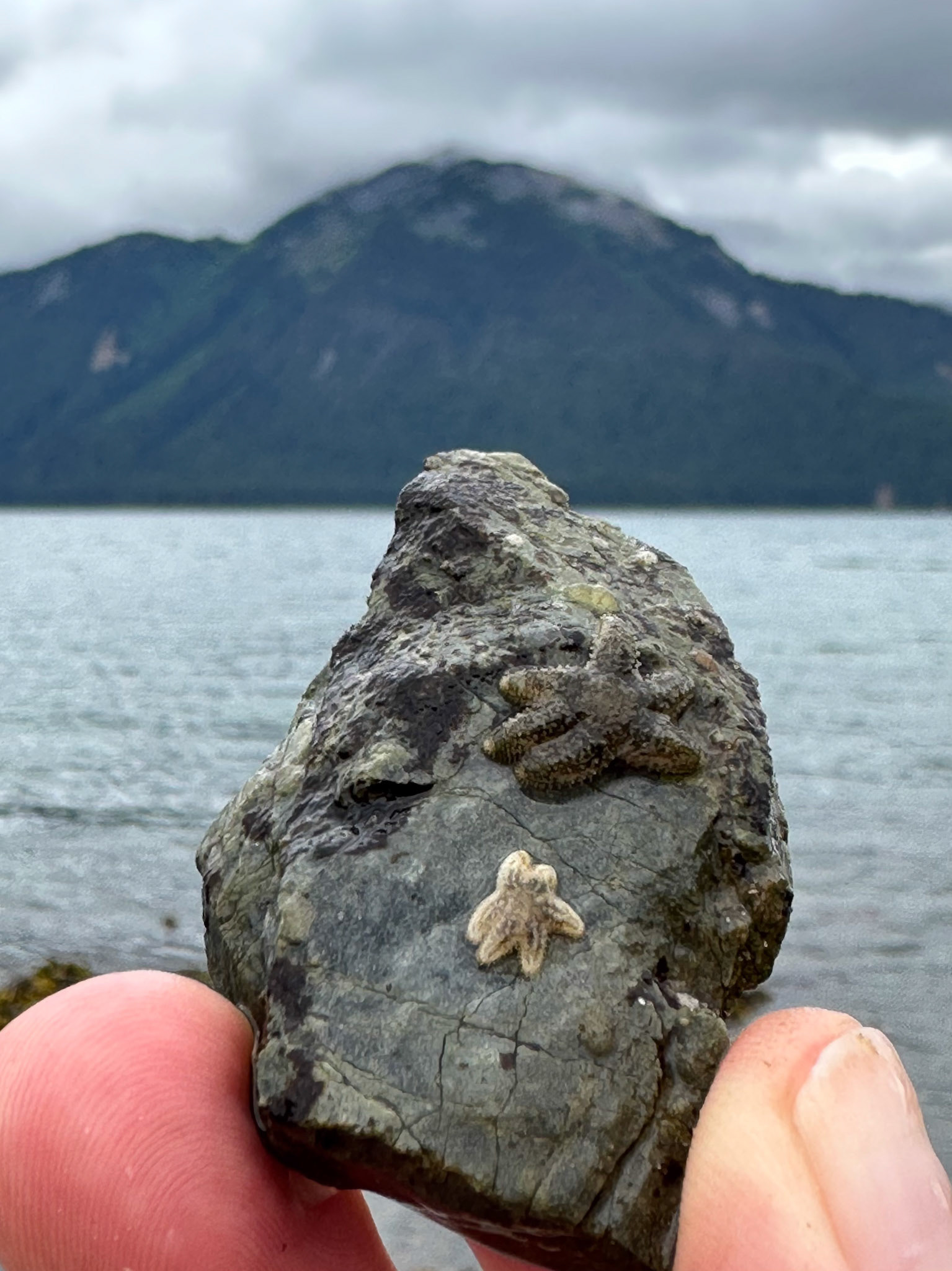 Alaska vacation in July, 2023 (Photo by Keith Sliney).
