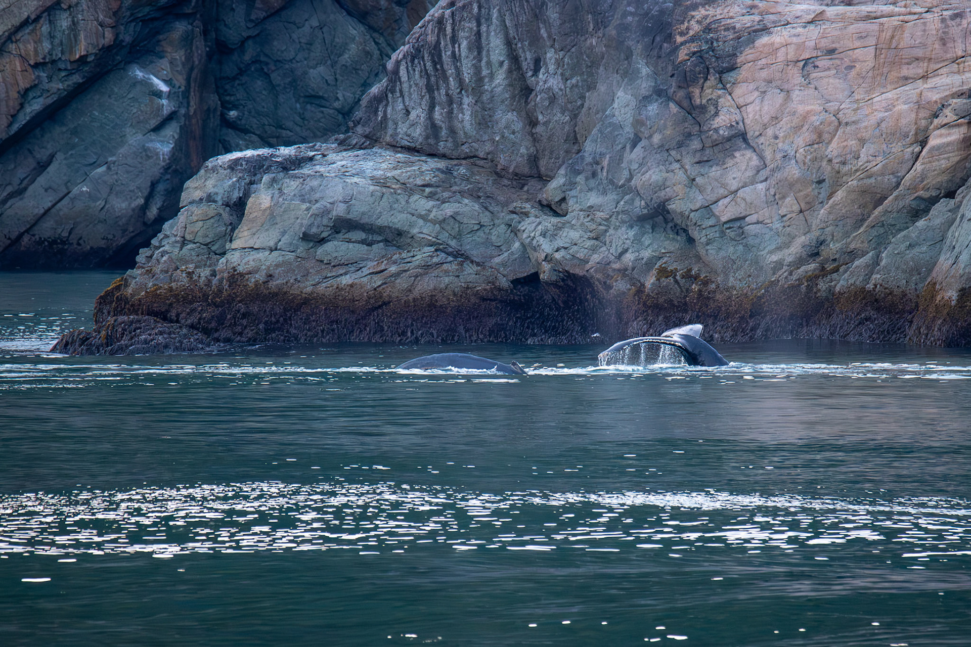 Alaska vacation in July, 2023 (Photo by Keith Sliney).