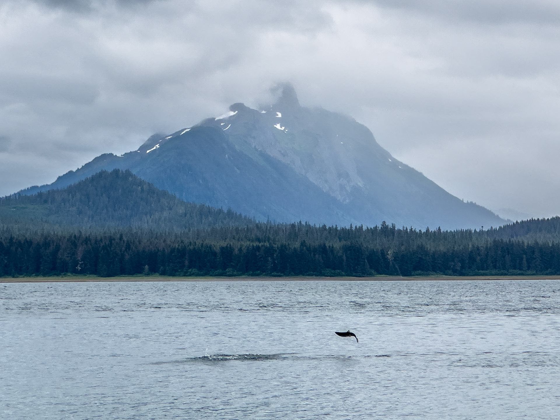 Alaska vacation in July, 2023 (Photo by Keith Sliney).