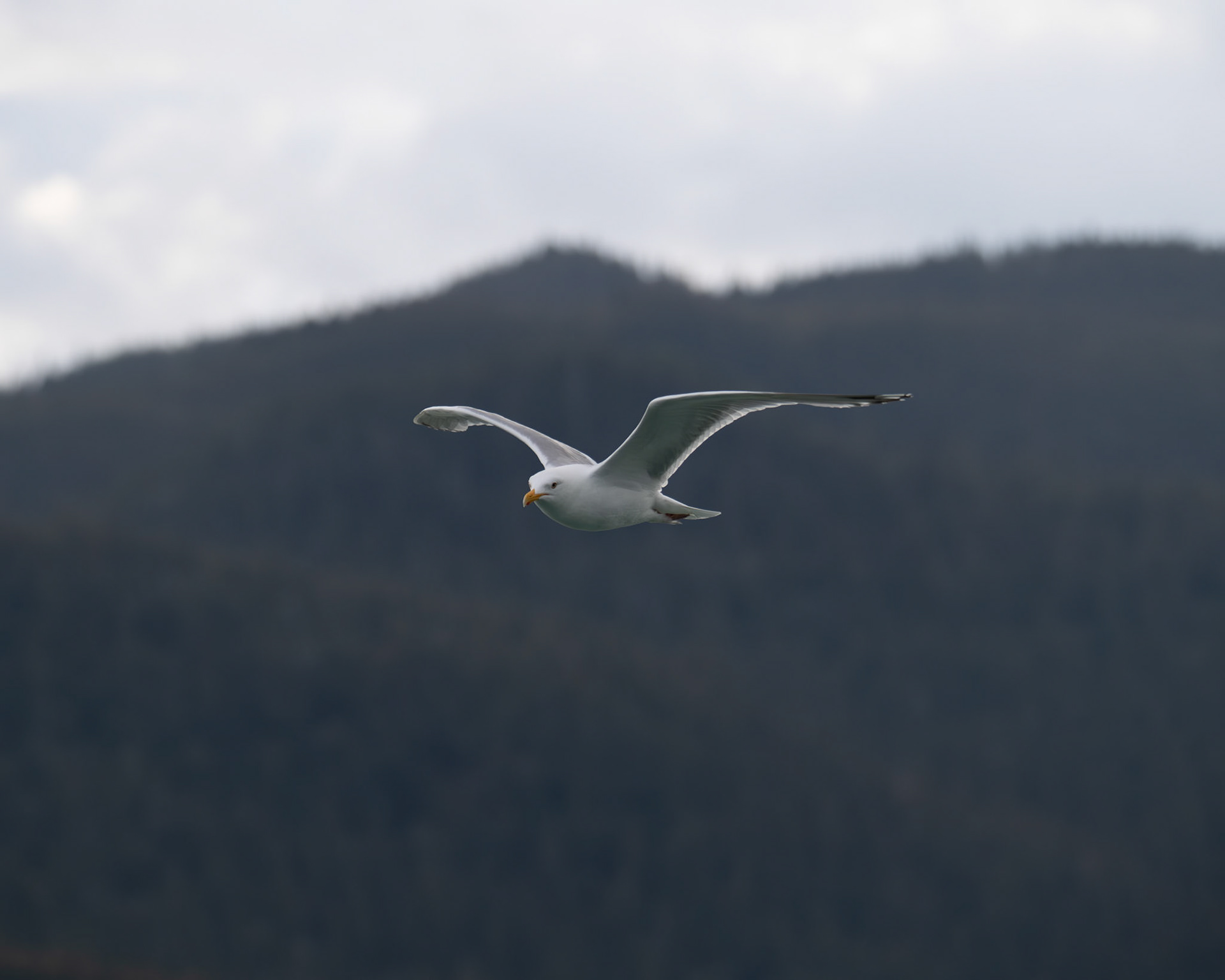 Alaska vacation in July, 2023 (Photo by Keith Sliney).