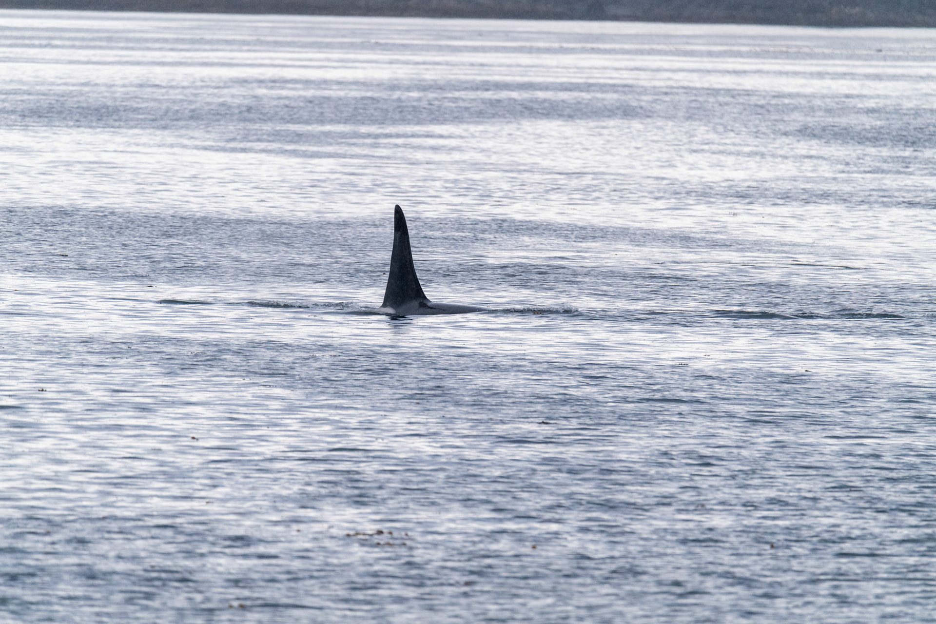 Alaska vacation in July, 2023 (Photo by Keith Sliney).