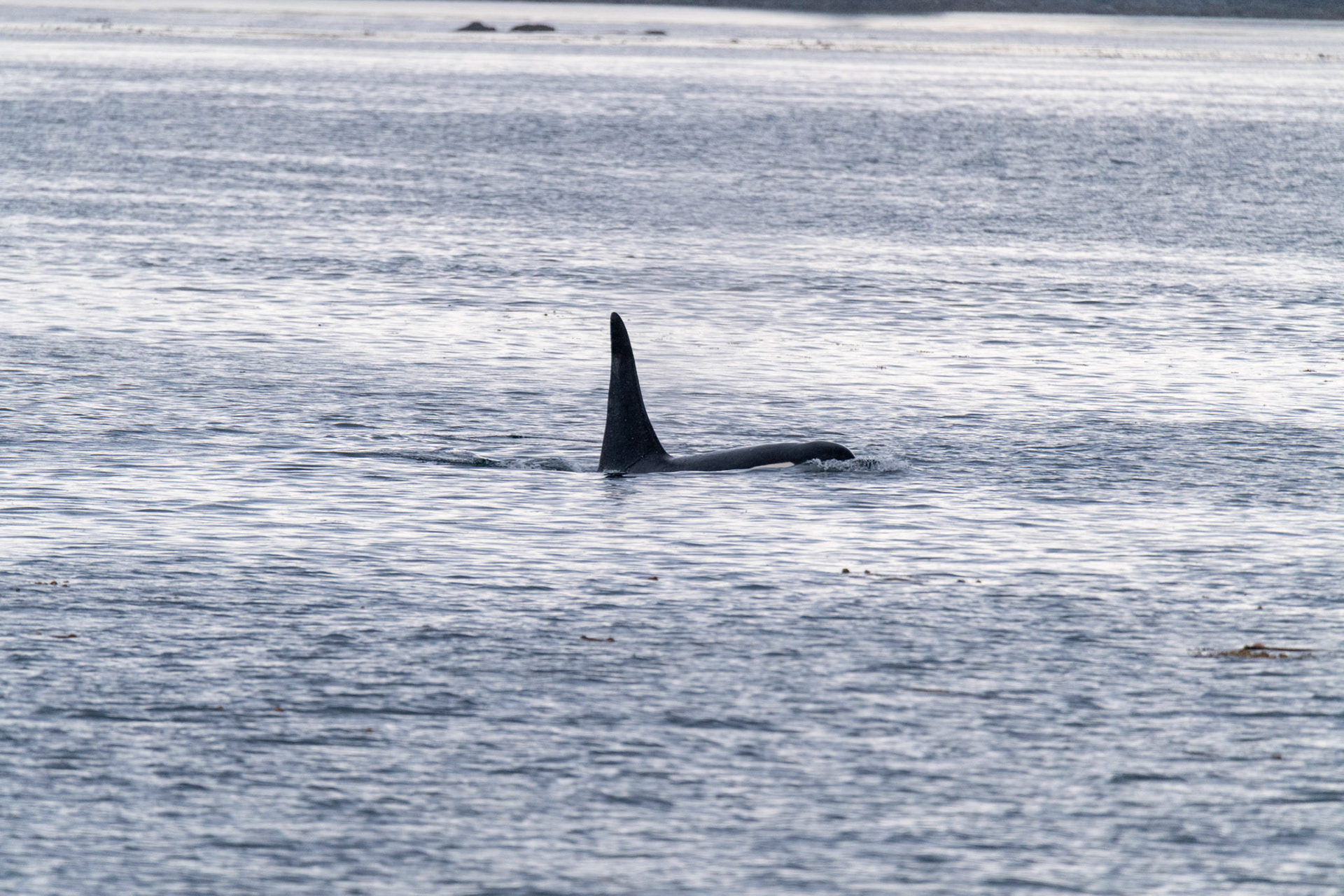 Alaska vacation in July, 2023 (Photo by Keith Sliney).