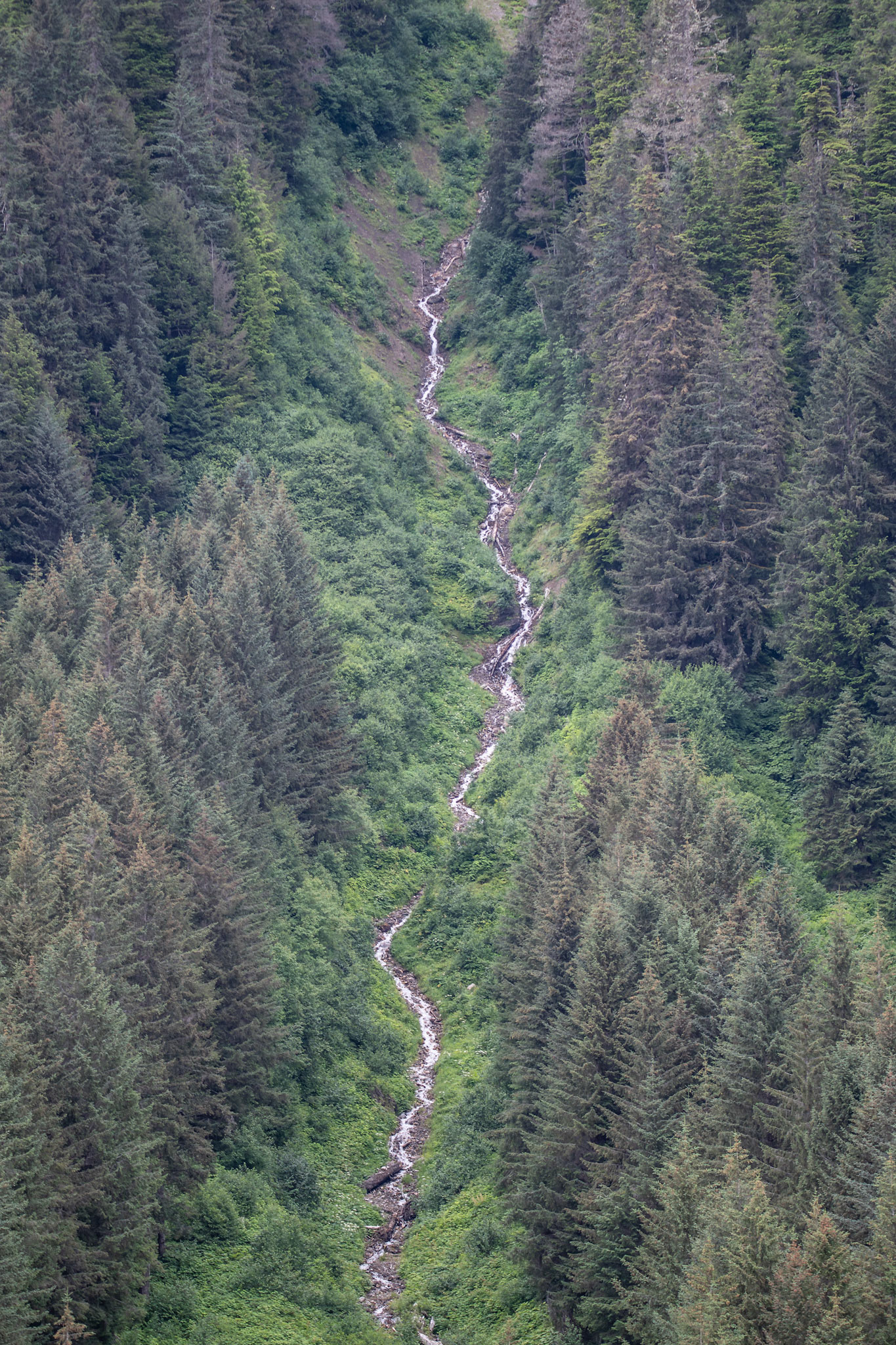 Alaska vacation in July, 2023 (Photo by Keith Sliney).