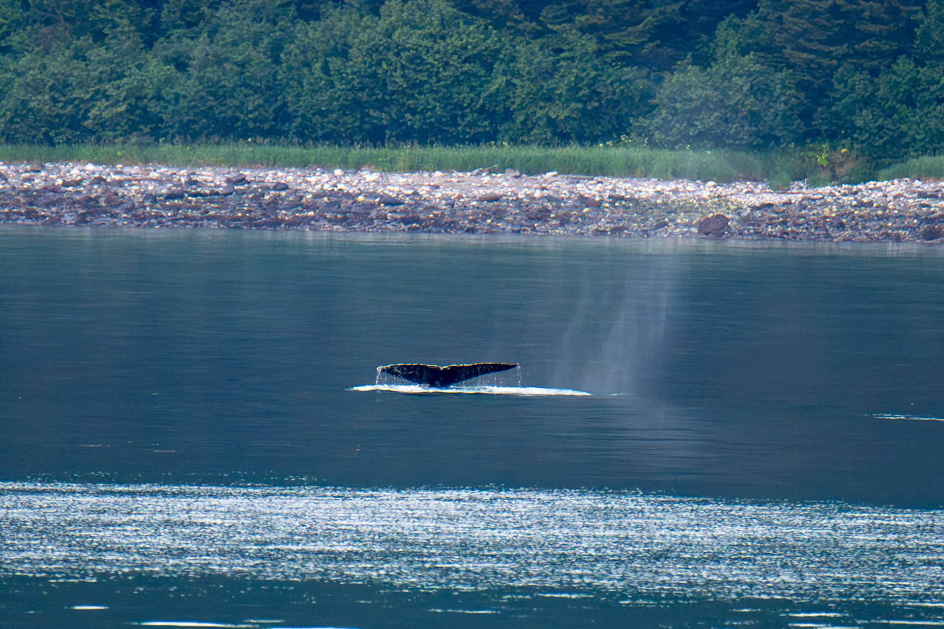 Alaska vacation in July, 2023 (Photo by Keith Sliney).