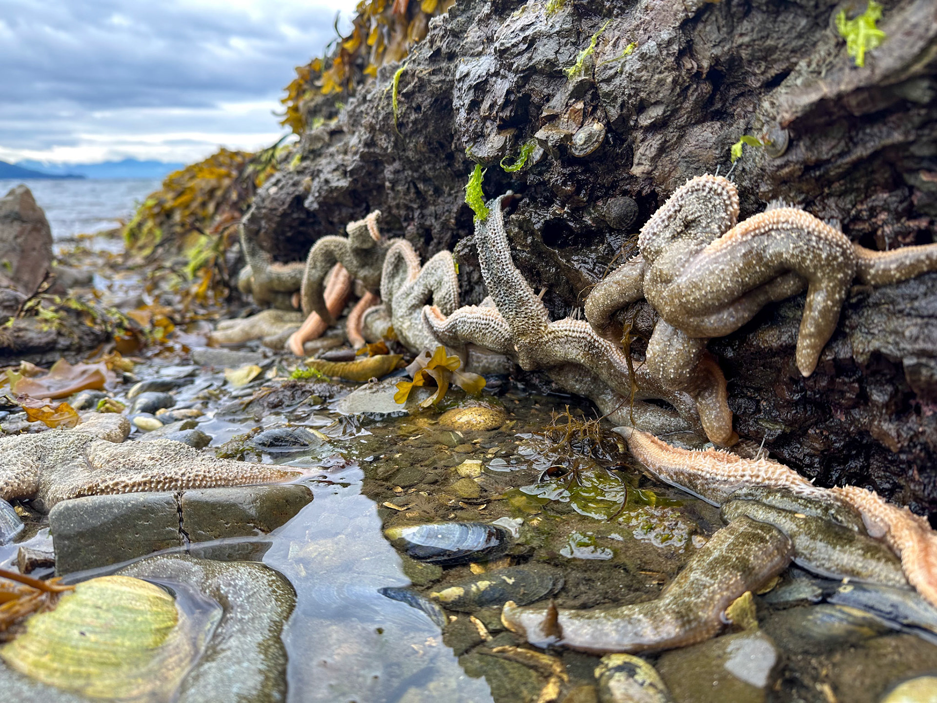Alaska vacation in July, 2023 (Photo by Keith Sliney).
