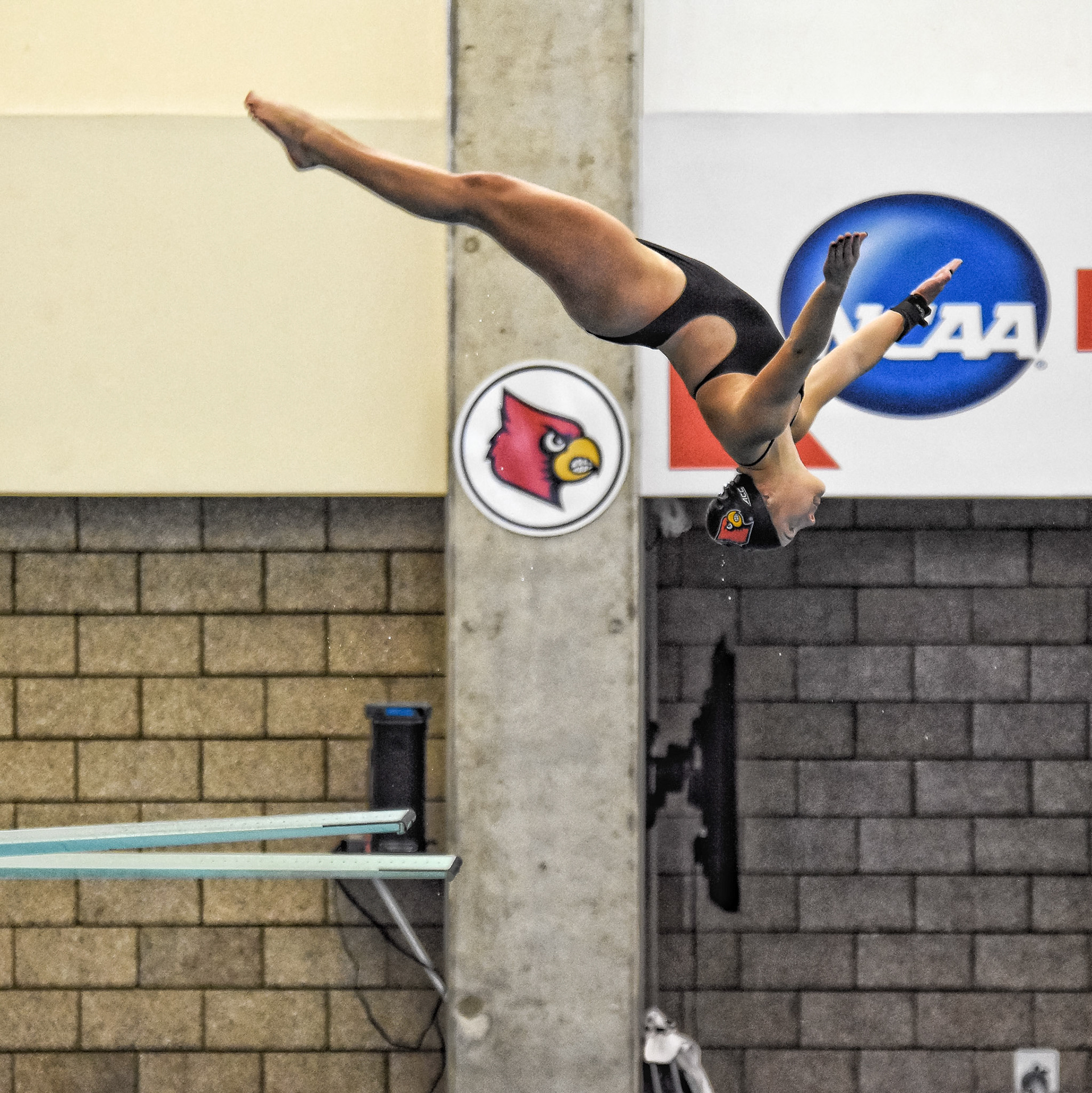 October 21, 2016 - University of Louisville Diving Team in a meet vs Xavier. Photo by Keith Sliney.