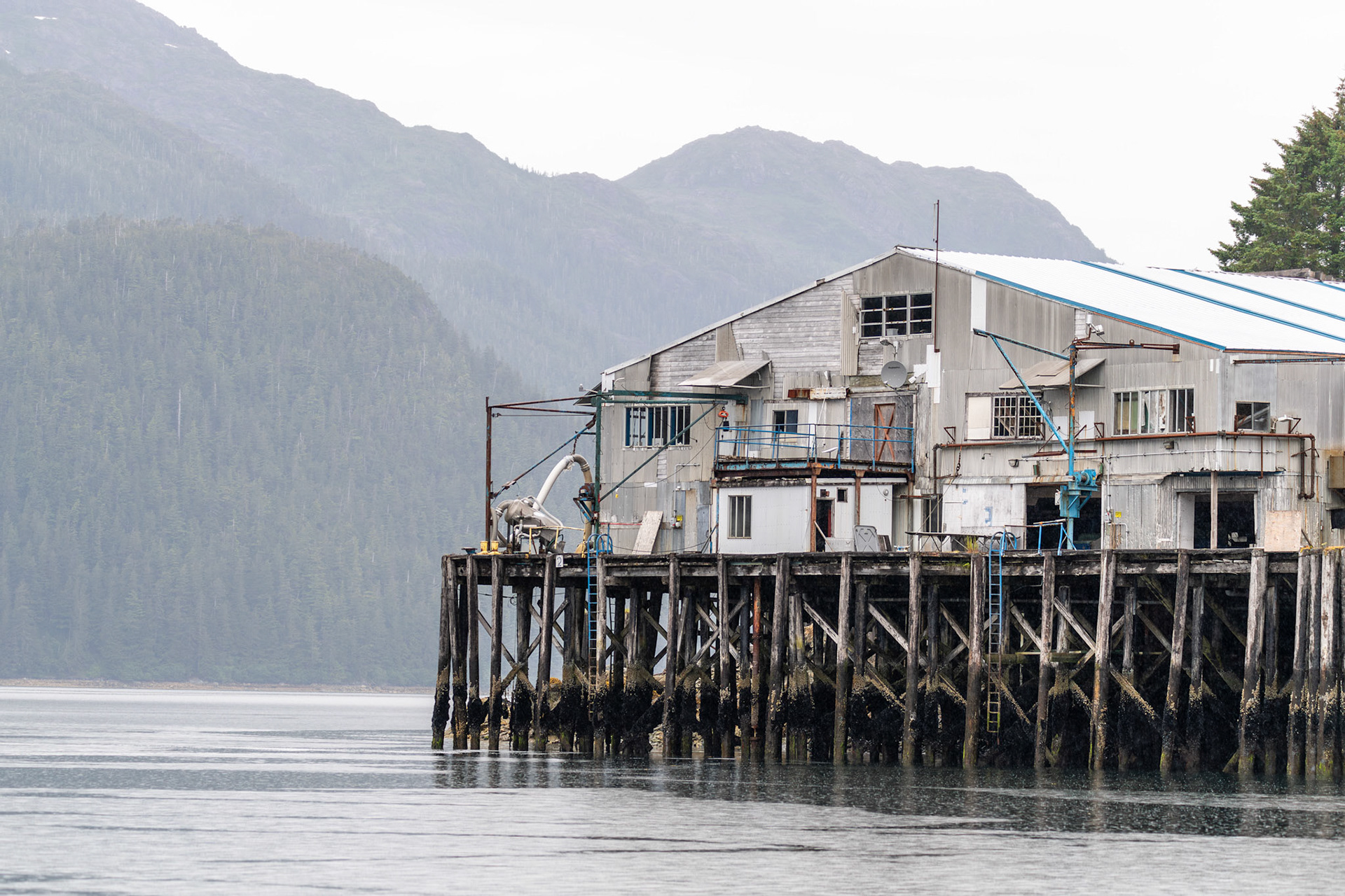 Alaska vacation in July, 2023 (Photo by Keith Sliney).