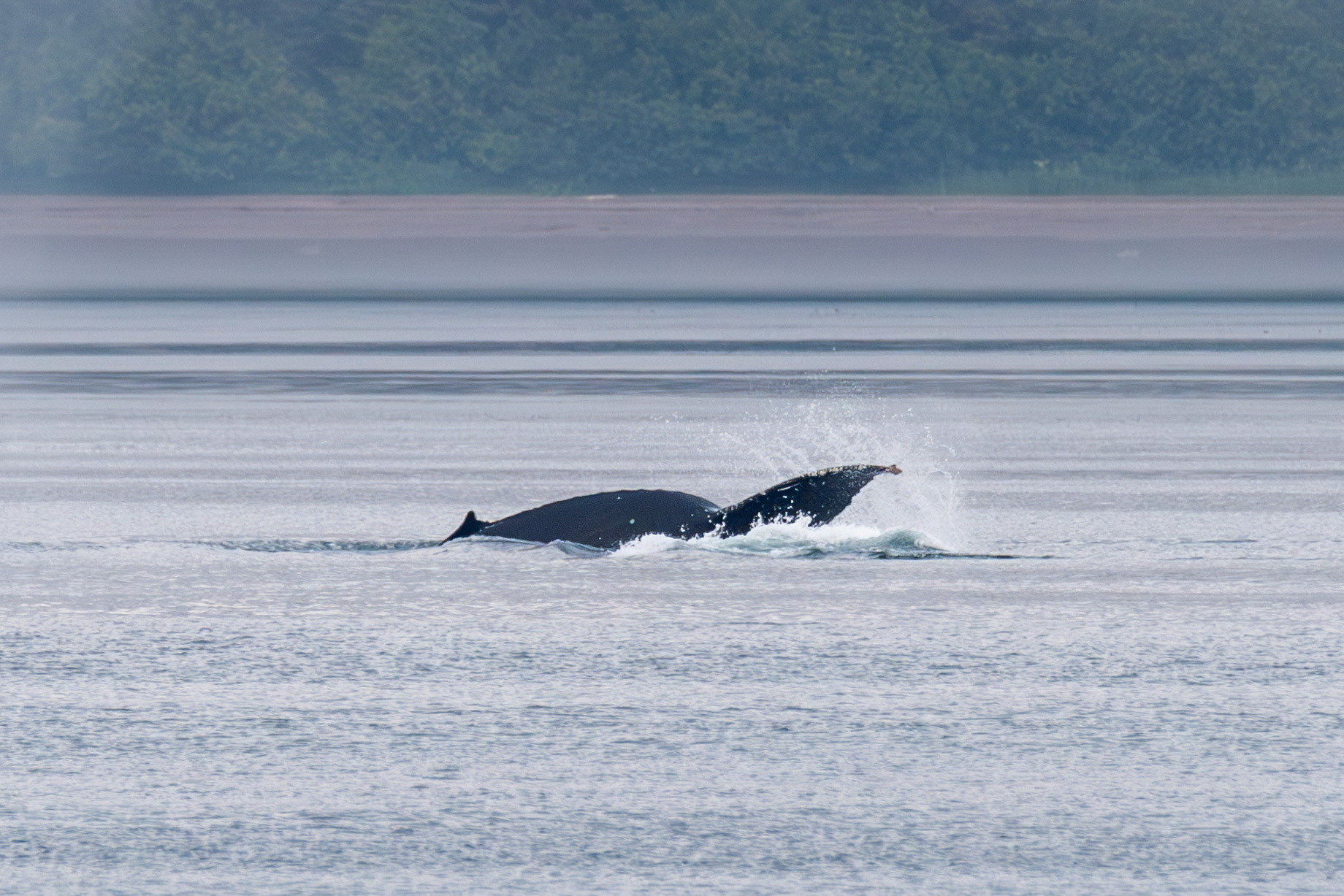 Alaska vacation in July, 2023 (Photo by Keith Sliney).
