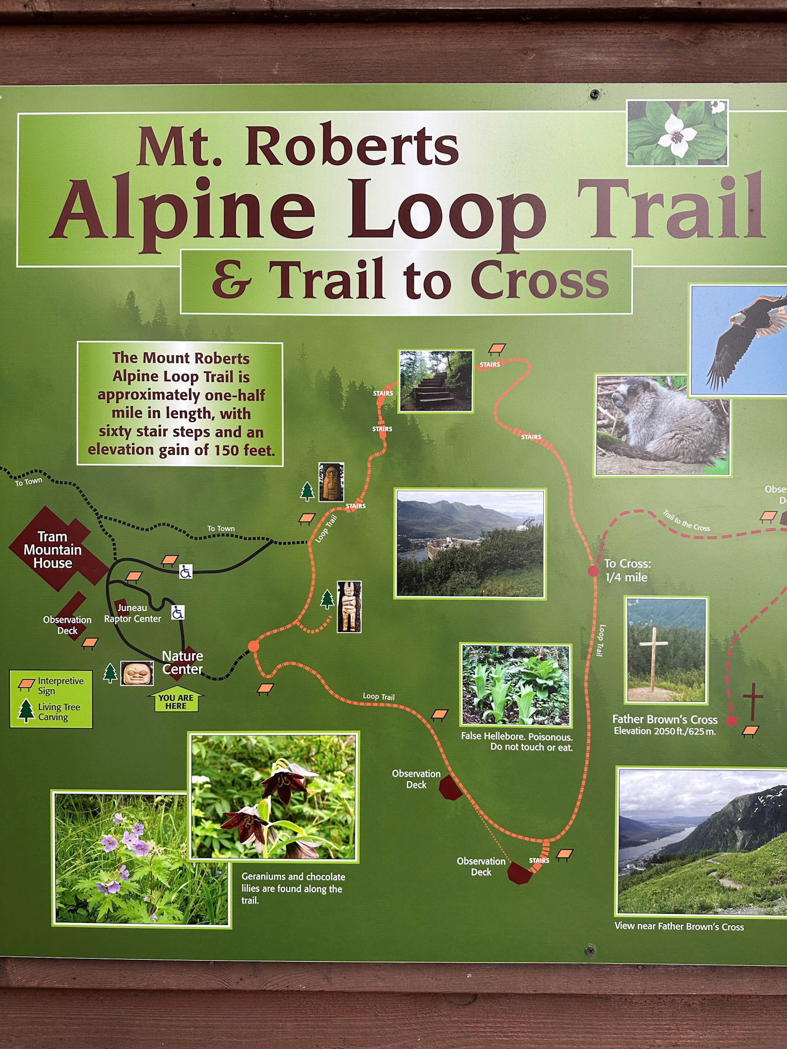 Alaska vacation in July, 2023 (Photo by Keith Sliney).