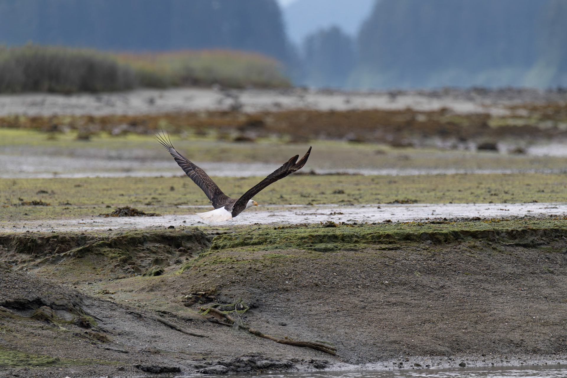 Alaska vacation in July, 2023 (Photo by Keith Sliney).