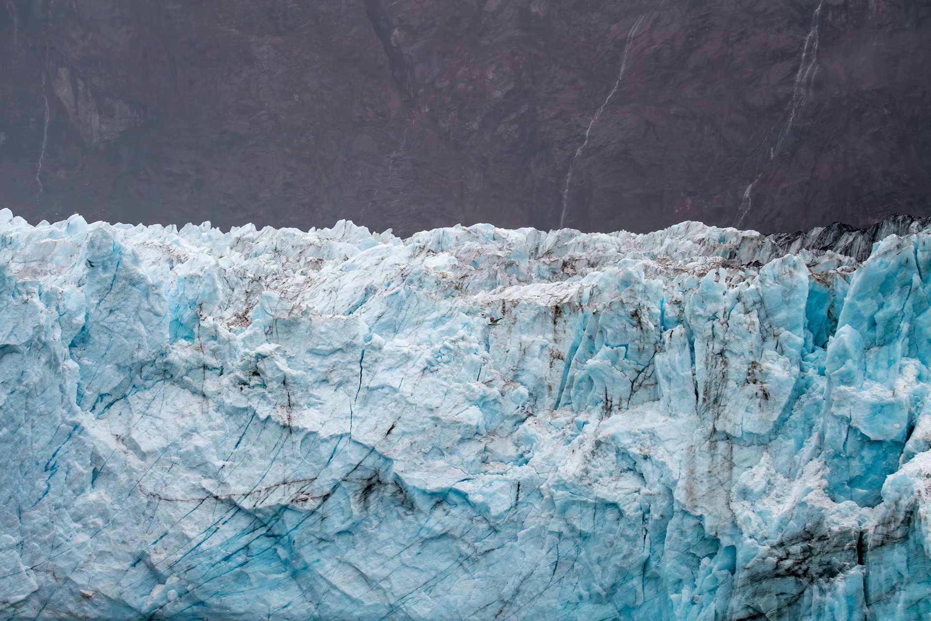 Alaska vacation in July, 2023 (Photo by Keith Sliney).