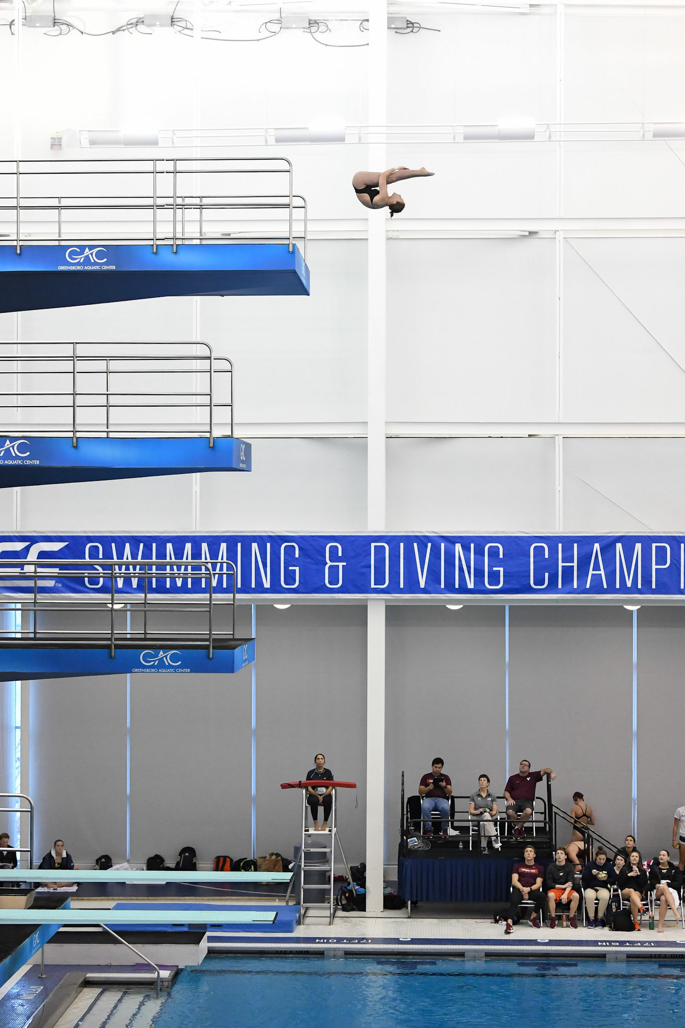 GREENSBORO, NC - FEBRUARY 22, 2019: University of Louisville Dive Team compete in Platform at the ACC Swimming &amp; Diving Championship in Greensboro, North Carolina (Photo by Keith Sliney).