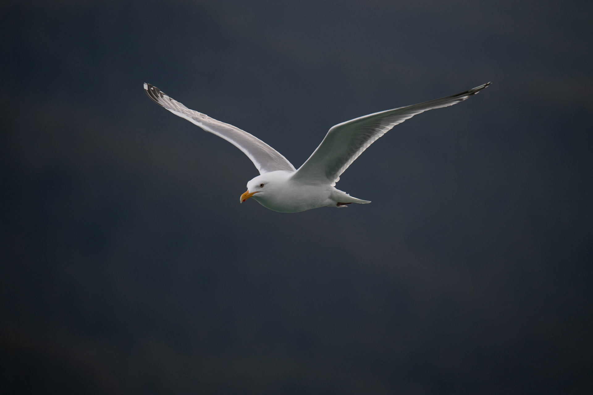 Alaska vacation in July, 2023 (Photo by Keith Sliney).