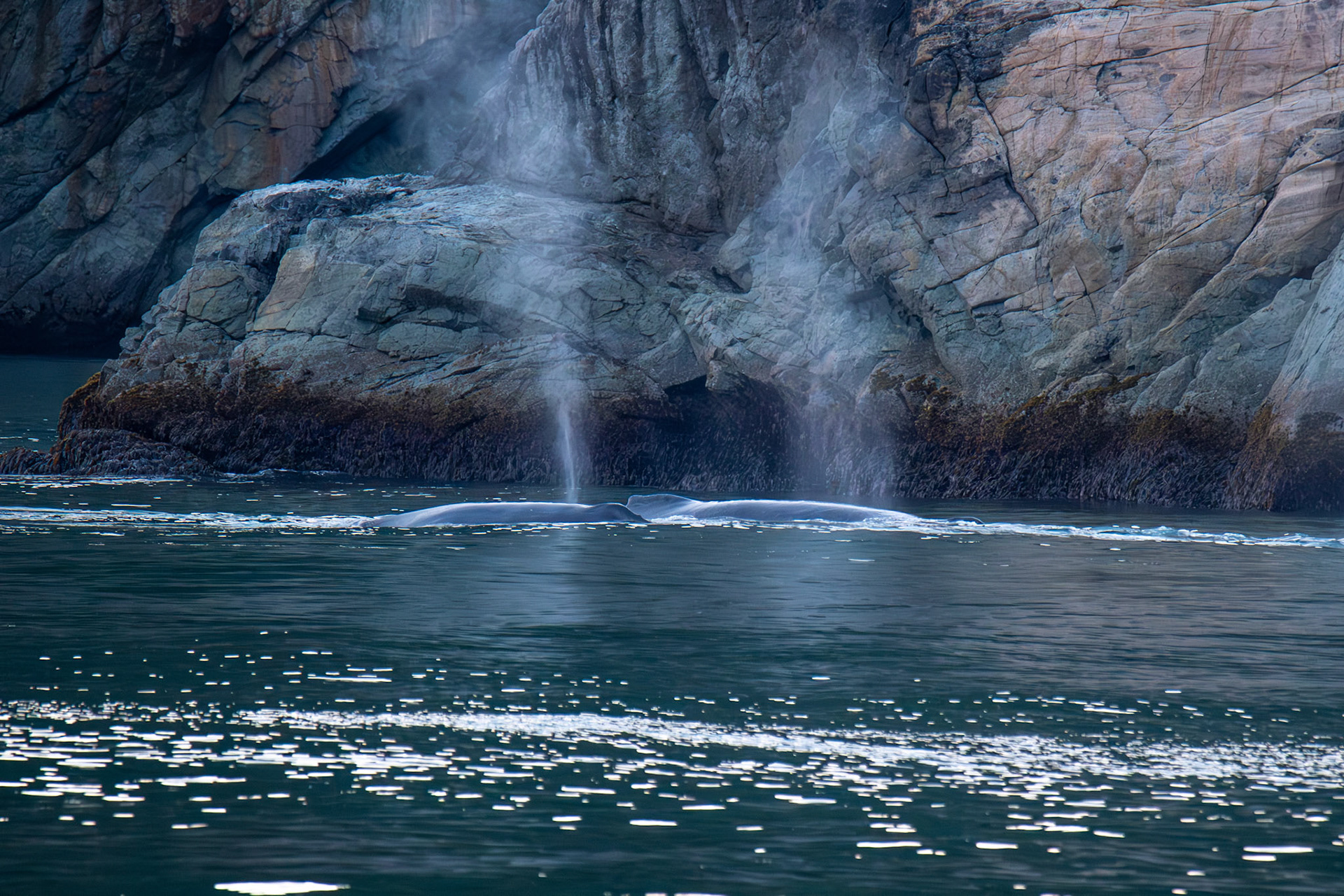 Alaska vacation in July, 2023 (Photo by Keith Sliney).