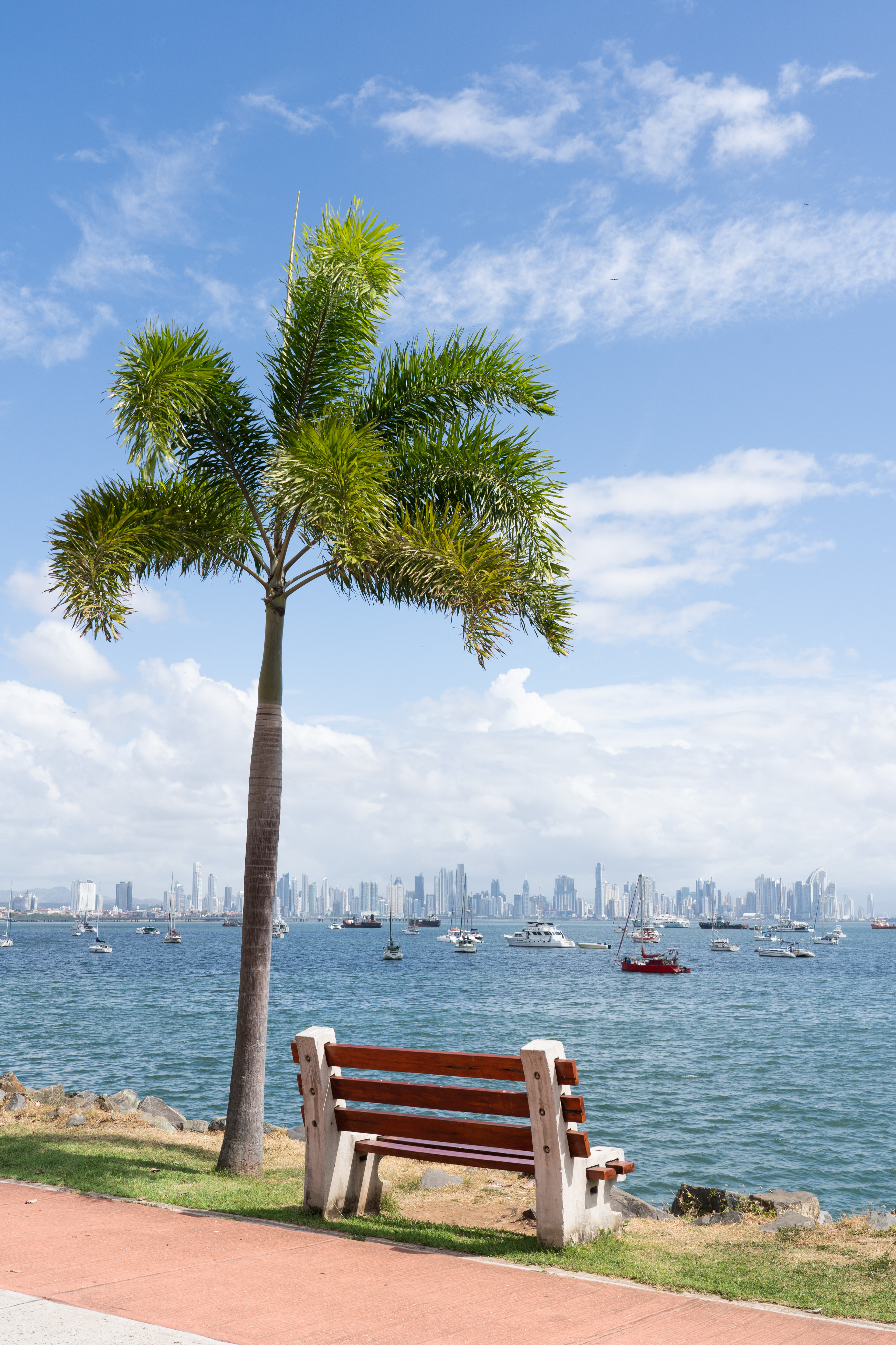 City view (Panama)
