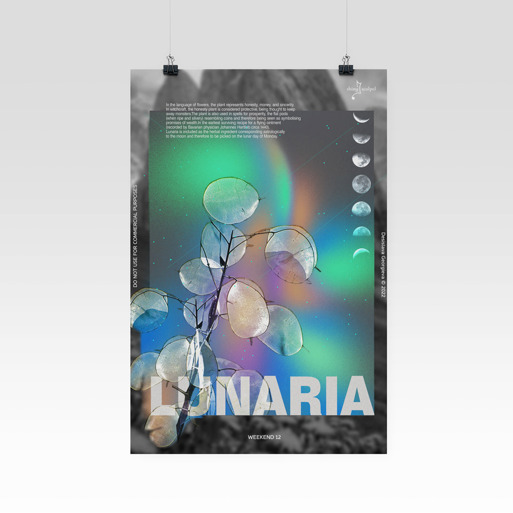 · Photoshop