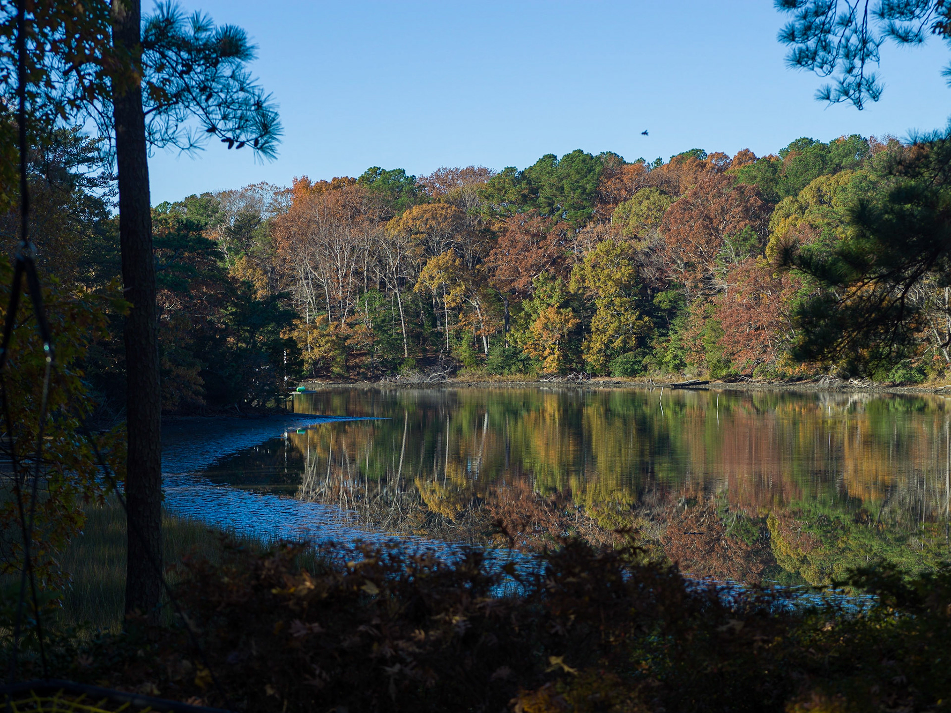 Our cove...
