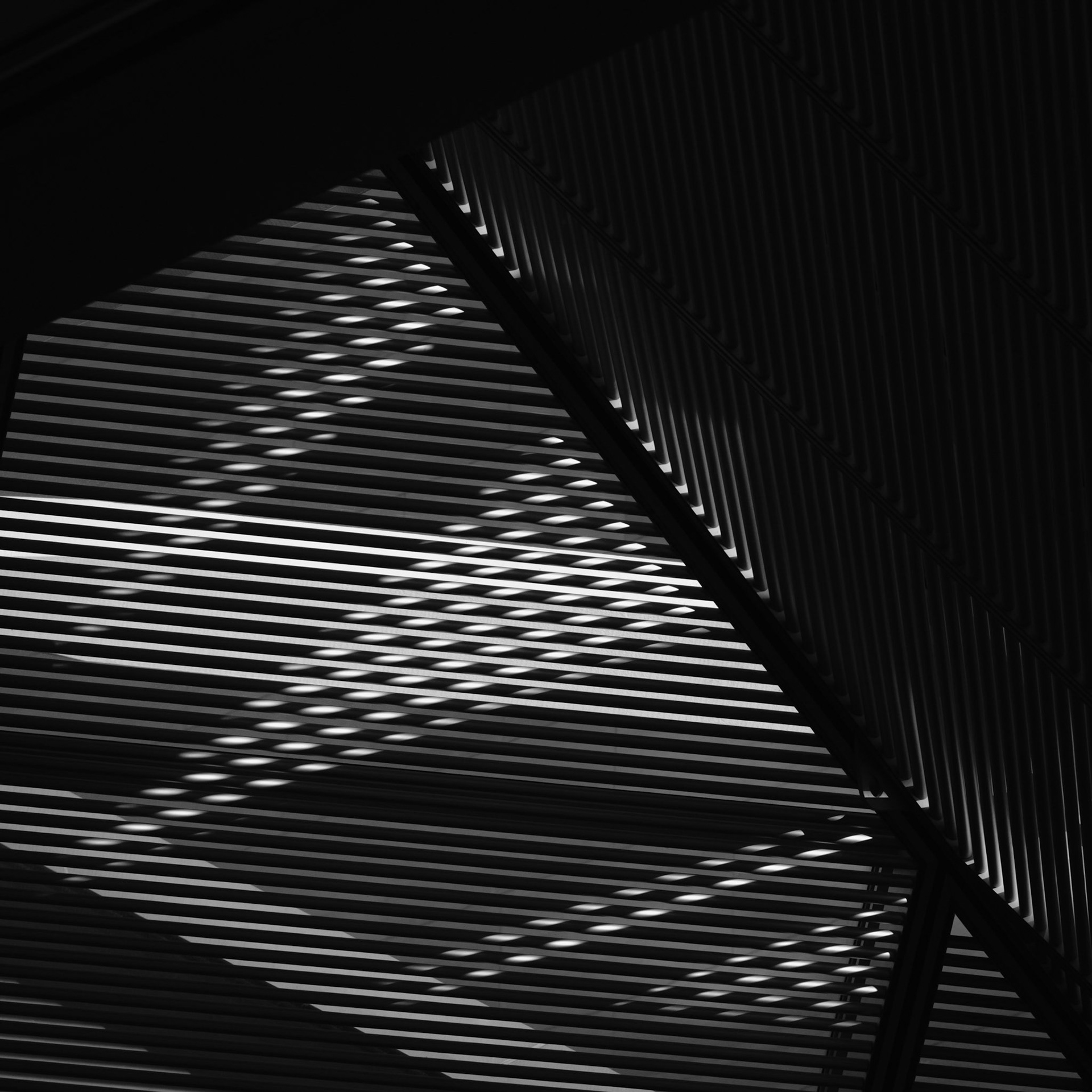 National Gallery #7