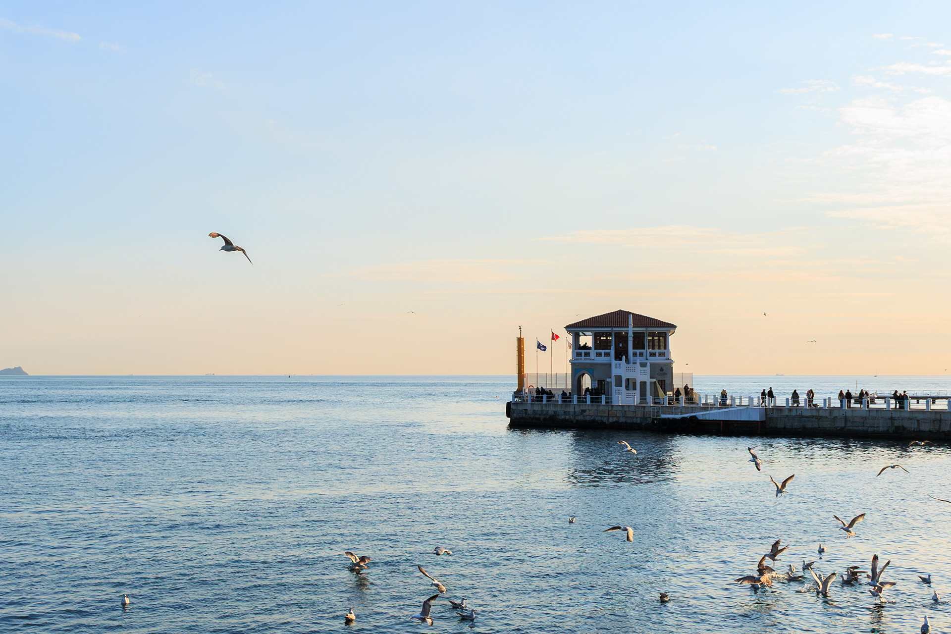 © Cem KURTULUŞ All rights reserved. Tüm Hakları Saklıdır.