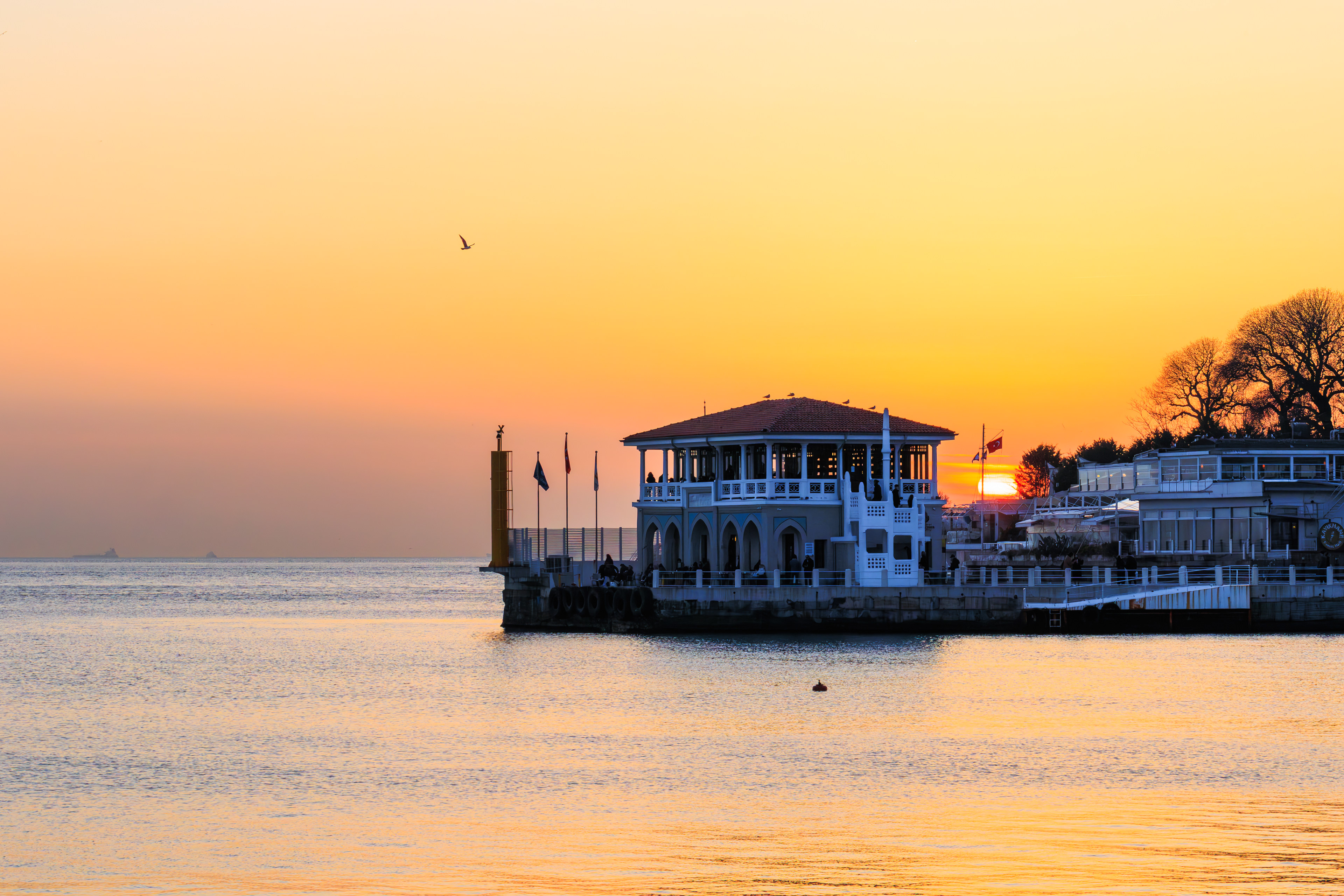 Colorful İstanbul © All rights reserved. Tüm Hakları Saklıdır. Cem Kurtuluş, 2022-2025