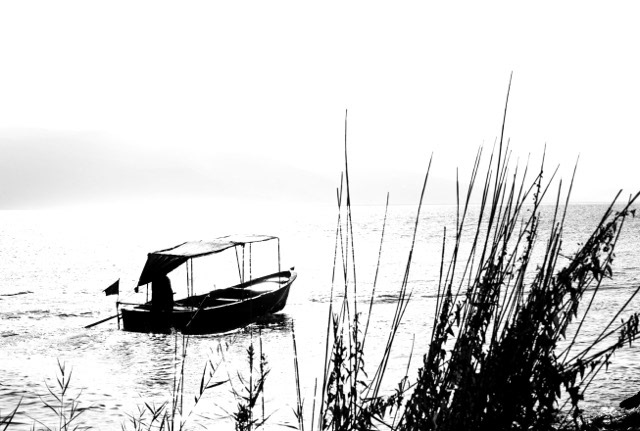 © All rights reserved. Tüm Hakları Saklıdır. Cem Kurtuluş, 2022-2025