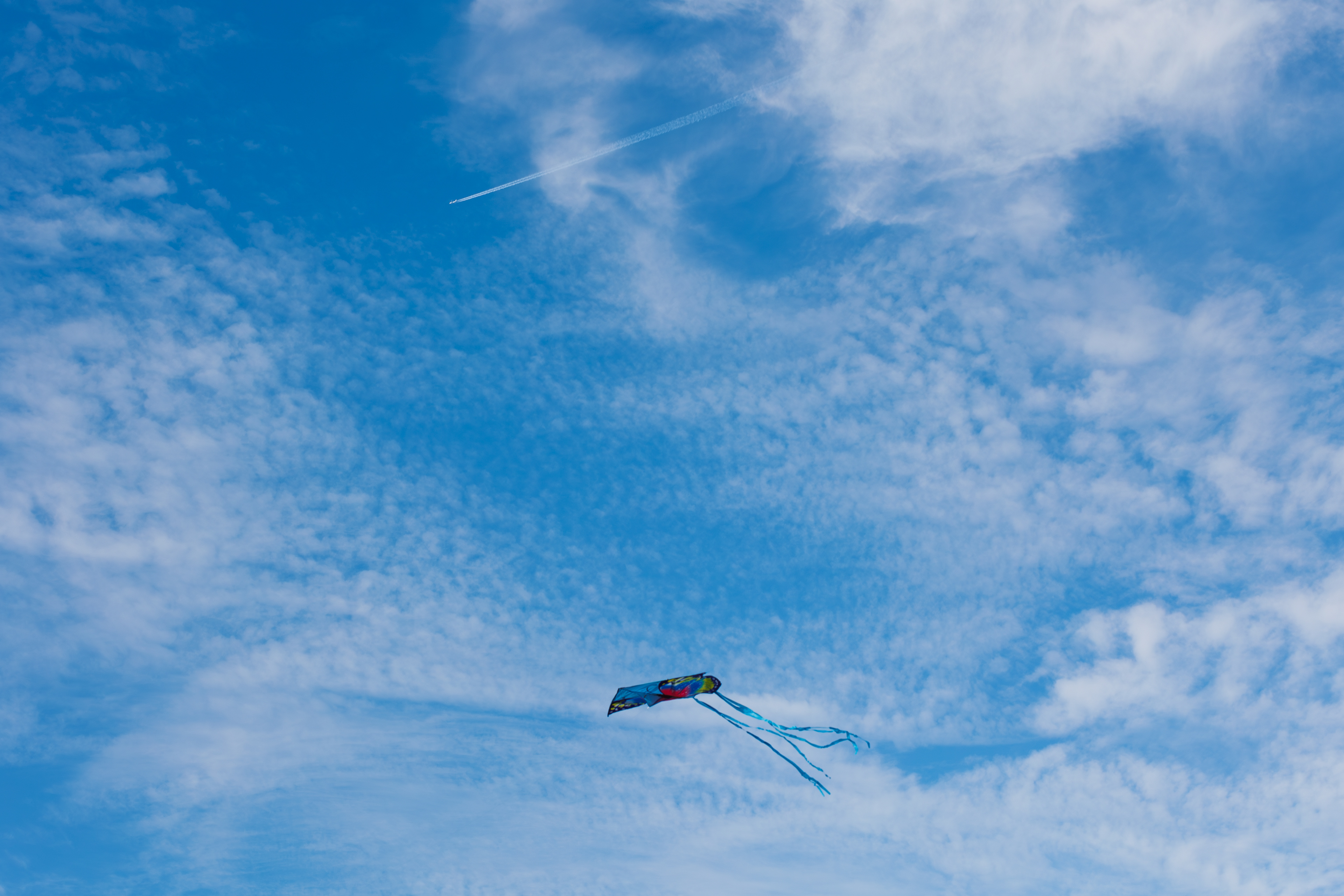 © All rights reserved. Tüm Hakları Saklıdır. Cem Kurtuluş, 2022-2026