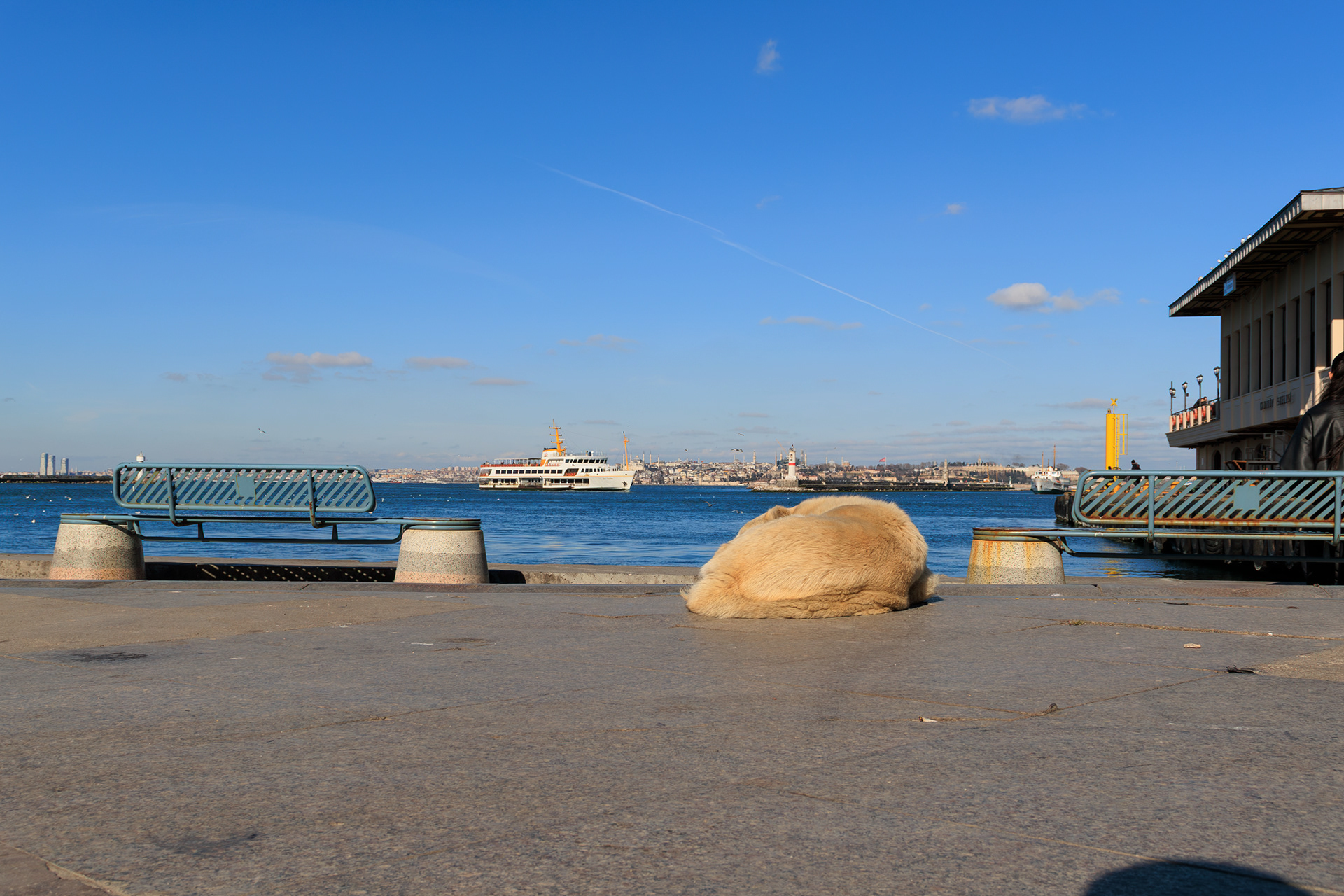 © Cem KURTULUŞ All rights reserved. Tüm Hakları Saklıdır.